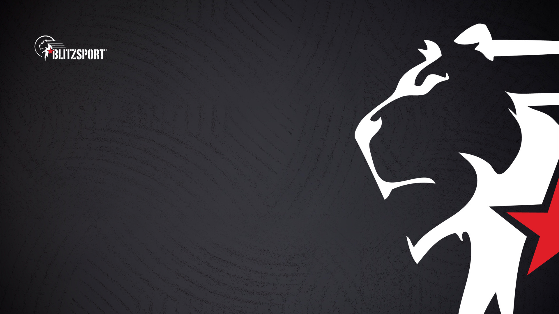 Blitzsport, Leone, Logo, 1920x1080, sfondo per PC