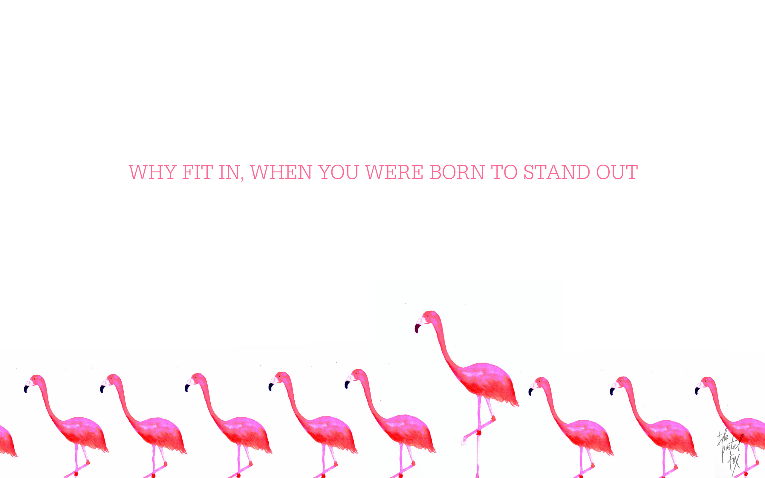 Fenicotteri, Citazione, Minimalismo, Sfondo bianco, 2K, wallpaper per computer