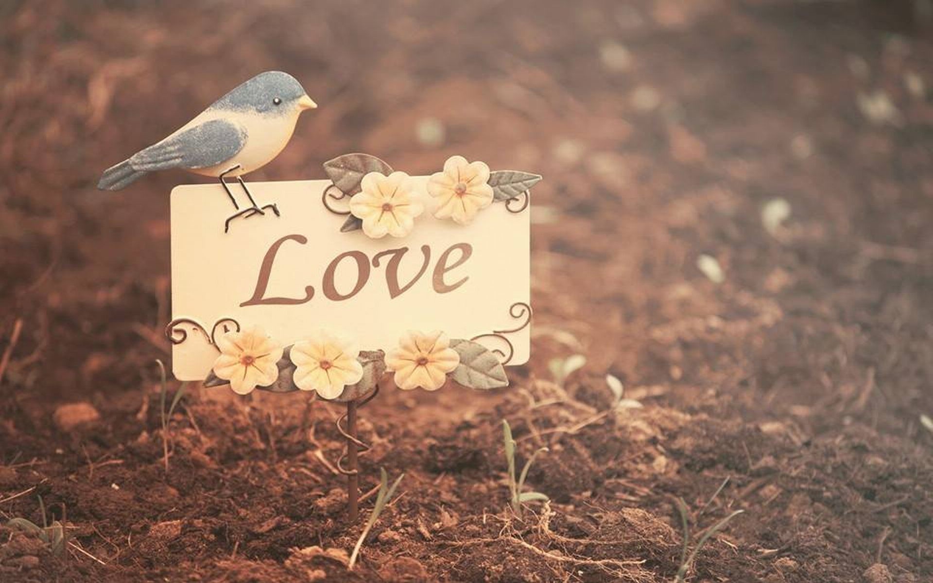 Love, Uccellino, Cartellino, Fiori, Full HD, wallpaper desktop