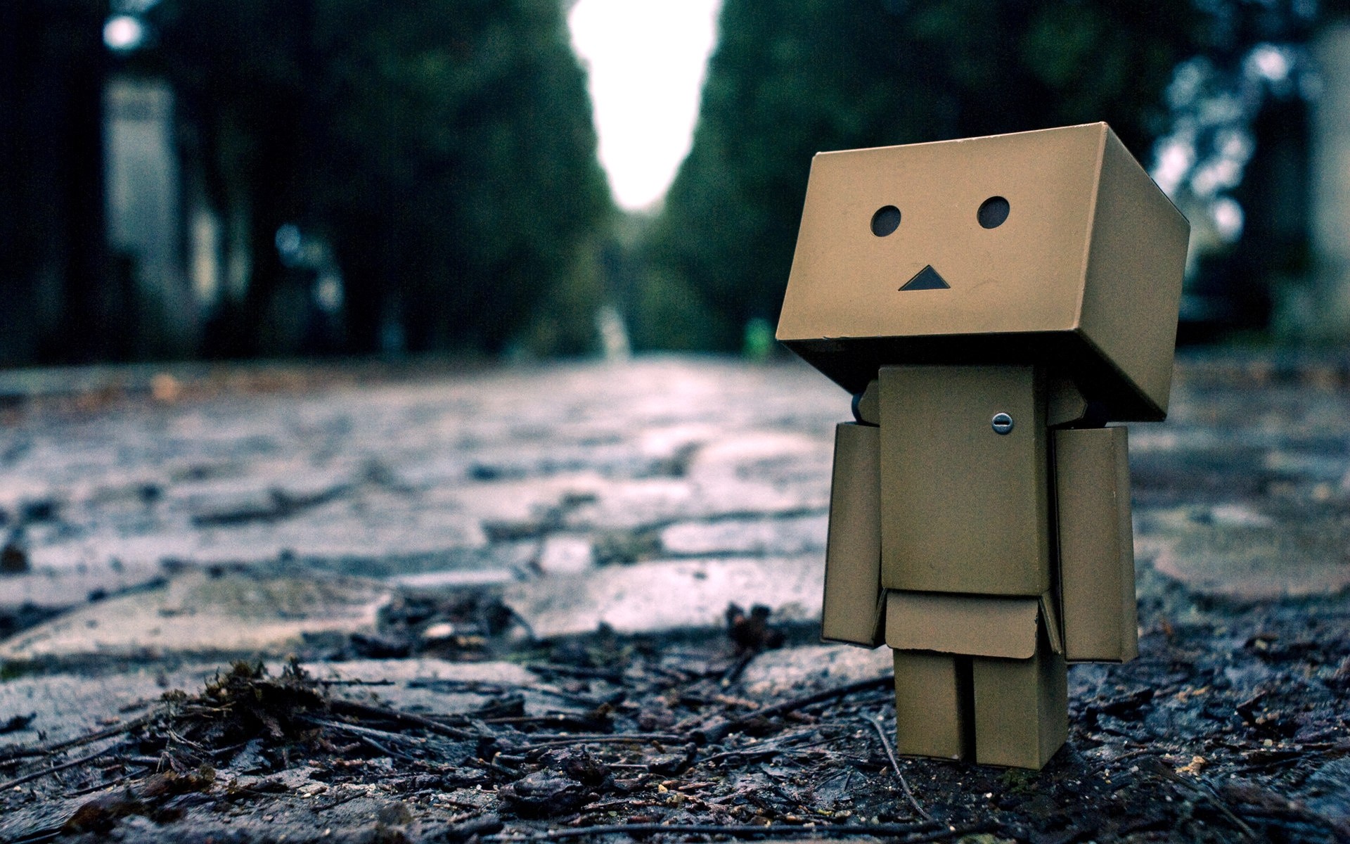 Danbo, Solitudine, Strada, 1920x1200, immagine di sfondo