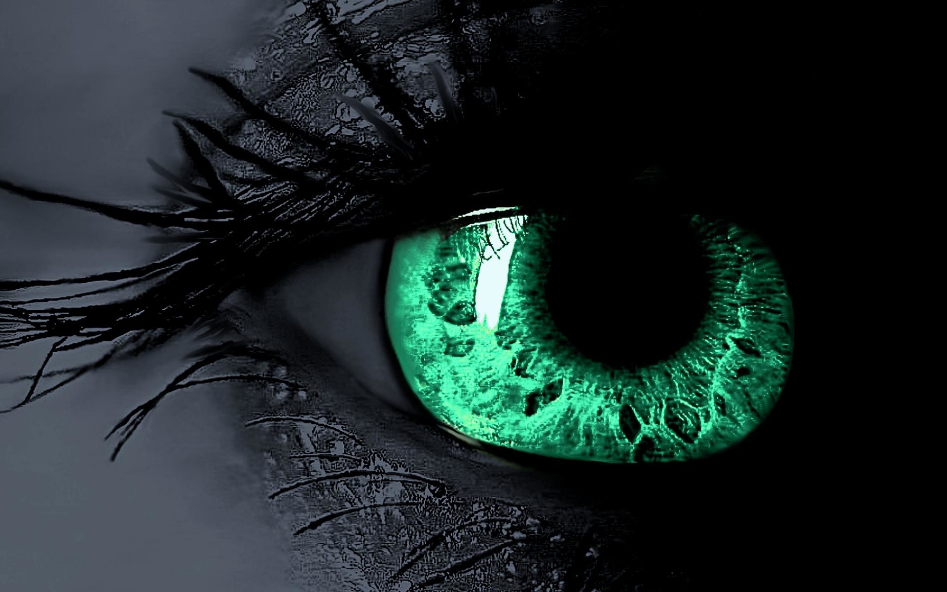 Occhio verde, Ciglia, Macro, Primo piano, 1920x1200, immagine di sfondo