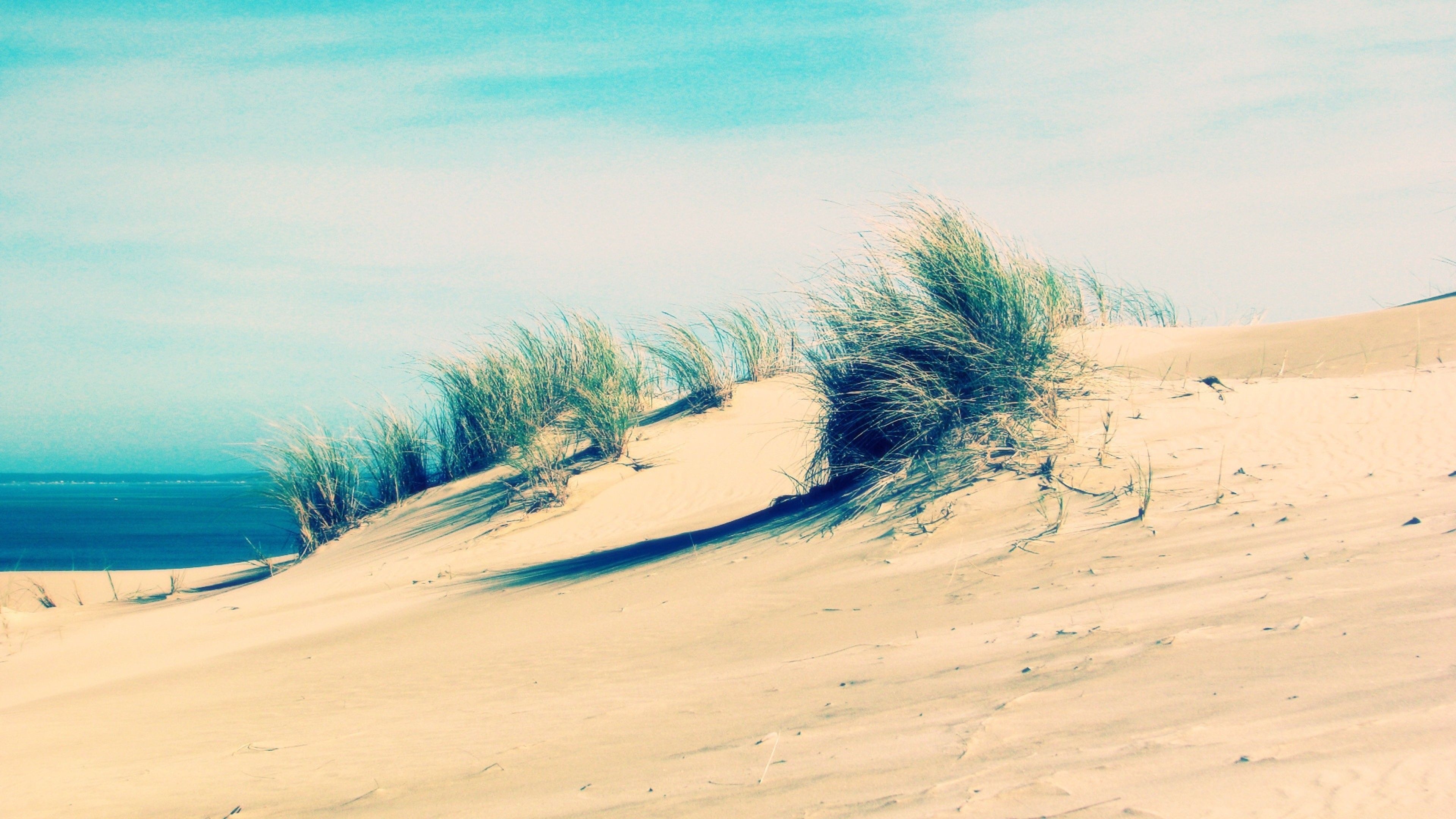 Dune, Spiaggia, Erba, Toni sbiaditi, 4K, sfondo per PC e portatile