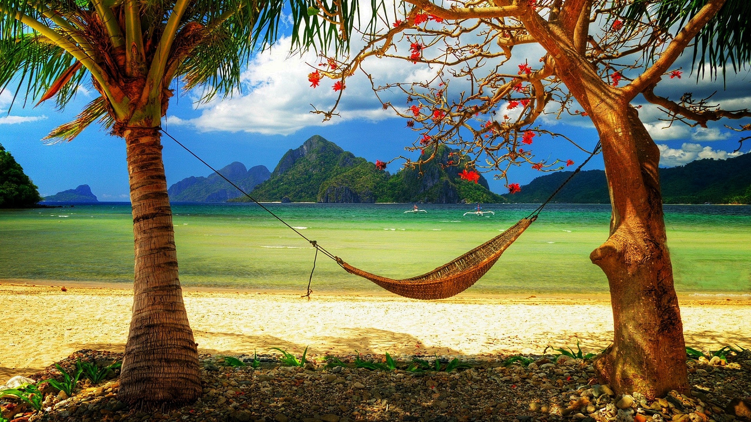 Amaca, Palme, Spiaggia, Isole, 2560x1440, immagine di sfondo