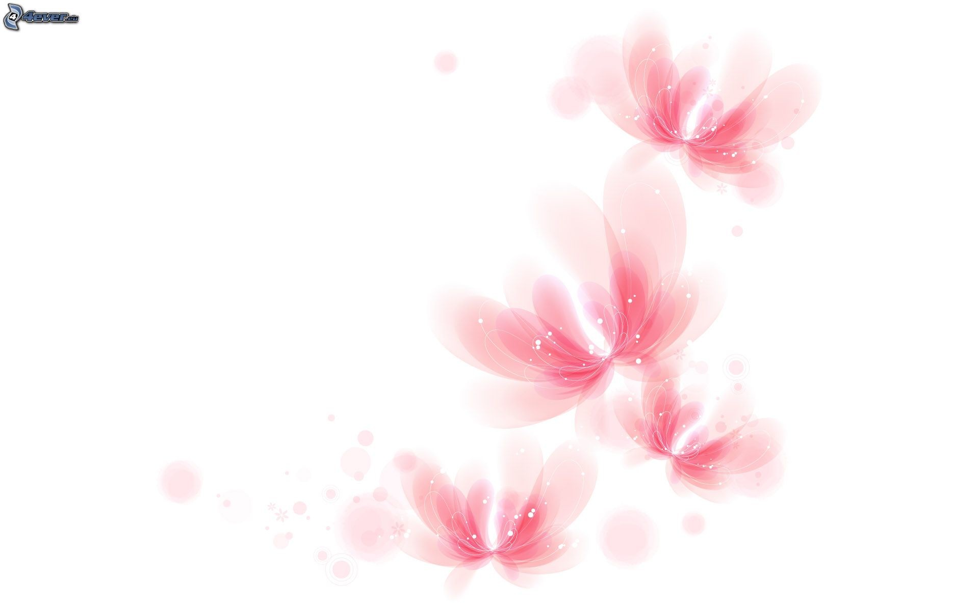 Fiori rosa, Acquerello, Sfondo bianco, Minimalismo, 16:10 Full HD, wallpaper widescreen