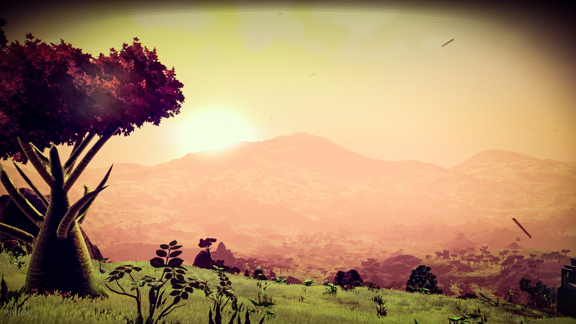 No Man's Sky, Albero, Colline, Tramonto, 1920x1080, sfondo per PC
