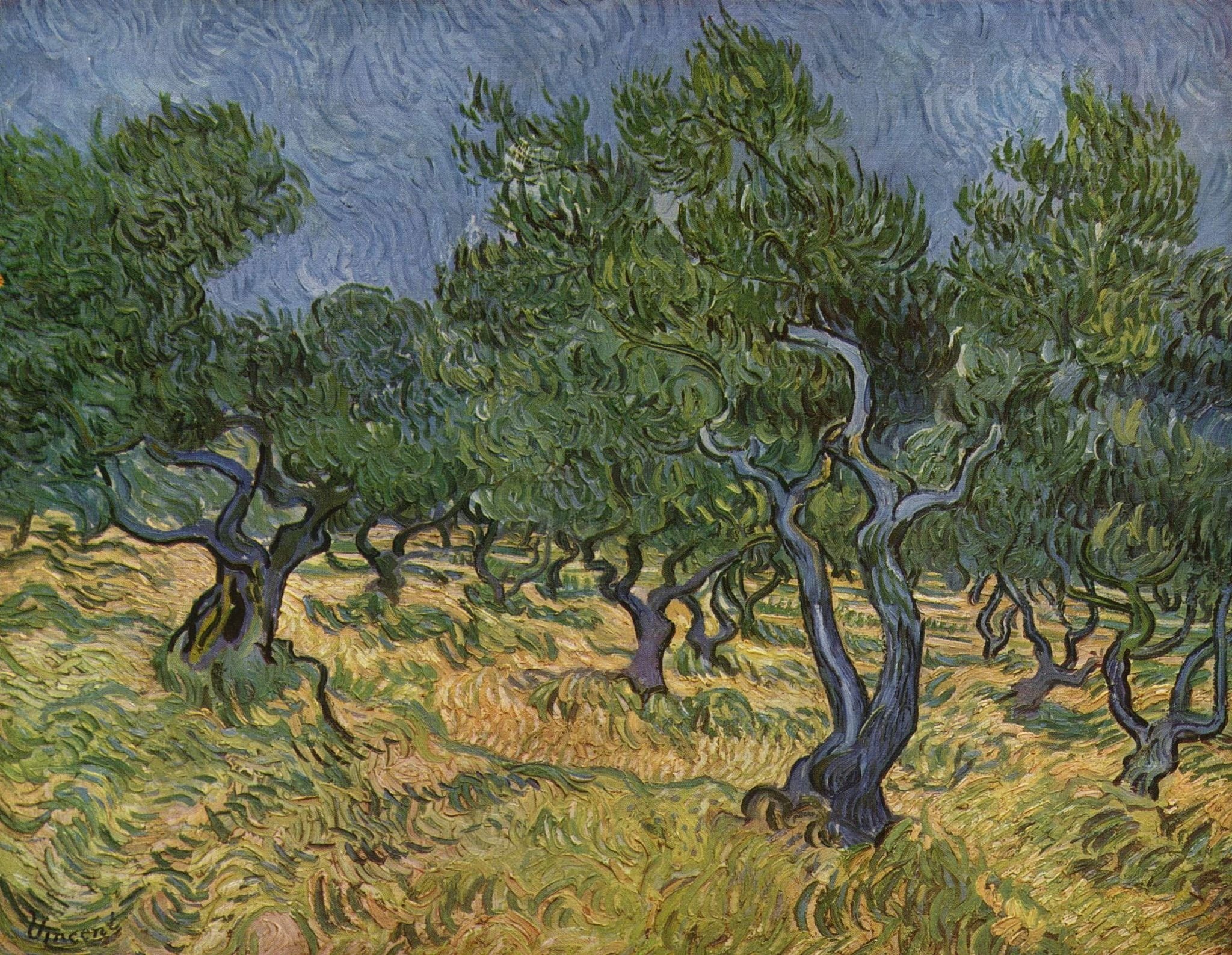 Uliveto, Vincent van Gogh, Ulivi, Post-impressionismo, Paesaggio, sfondo per portatile