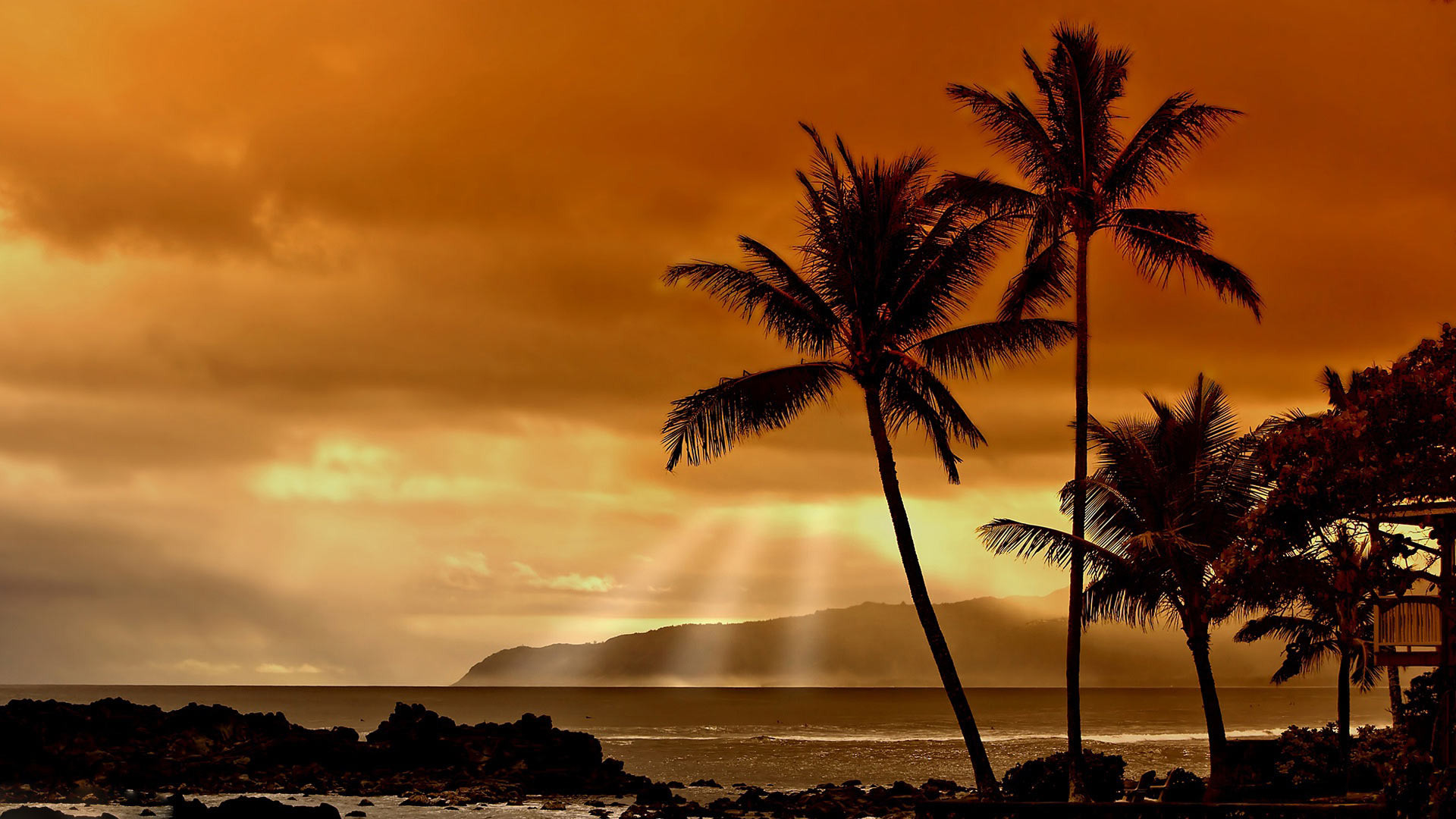 Hawaii, Palme, Tramonto, Raggi di sole, Full HD, wallpaper per computer