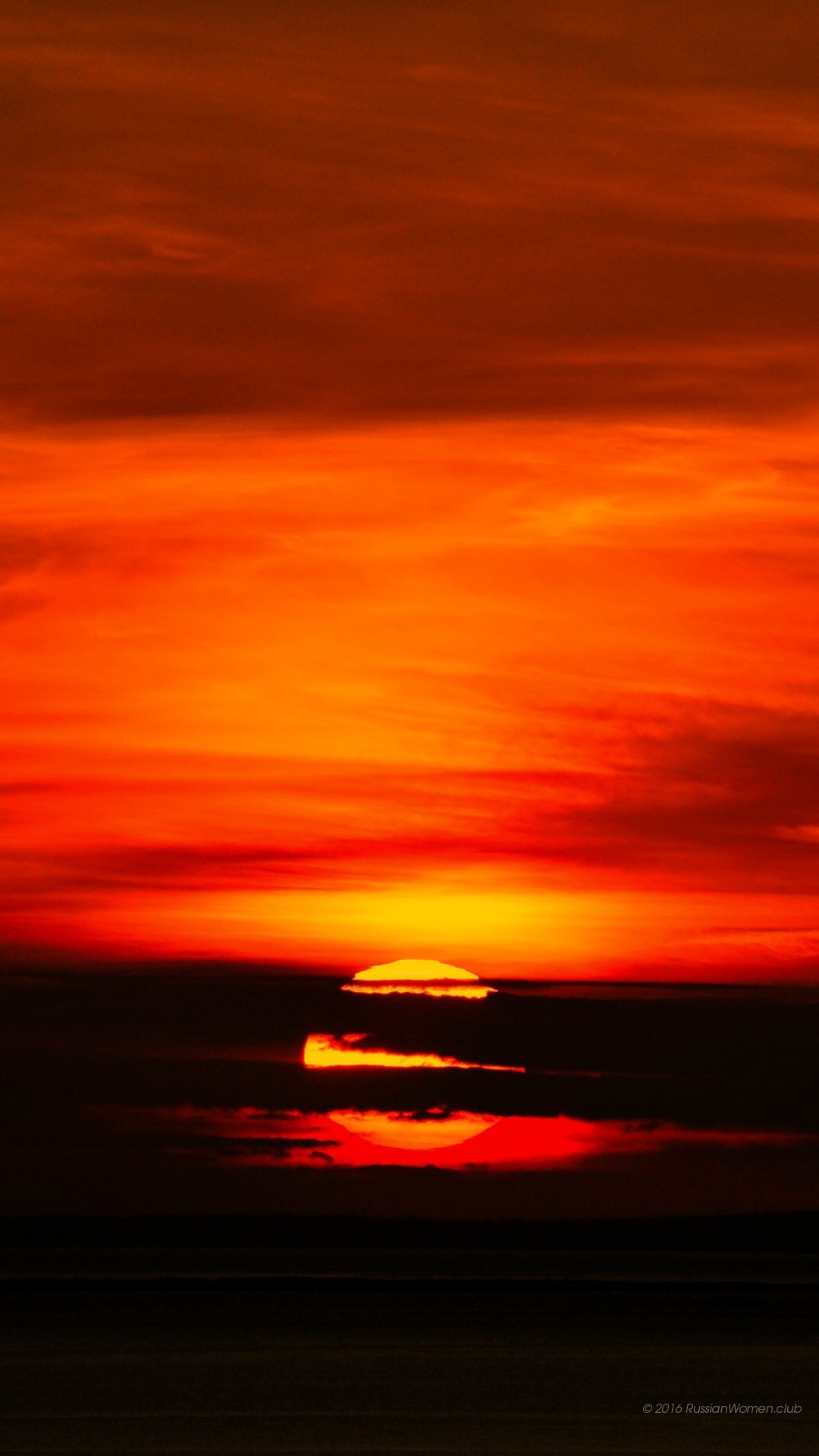 Tramonto, Sole, Cielo rosso, Silhouette, wallpaper per iPhone e Android