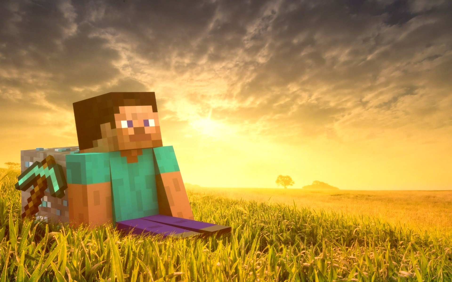 Minecraft, Steve, Piccone, Tramonto, Prato, 1920x1200, wallpaper desktop
