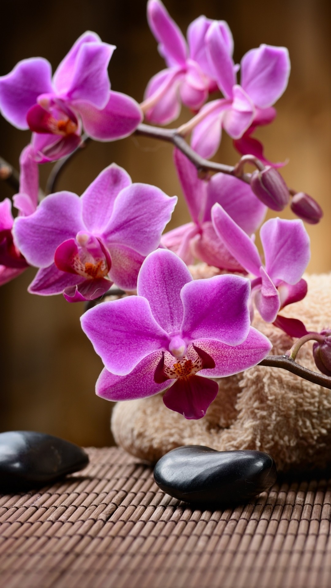 Orchidee, Fiori viola, Pietre nere, Spa, Full HD, schermata di blocco del cellulare