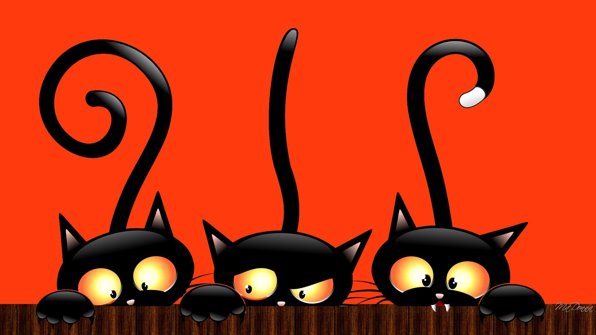 Gatti neri, Code arricciate, Sfondo arancione, Cartone, Carino, Full HD, wallpaper desktop