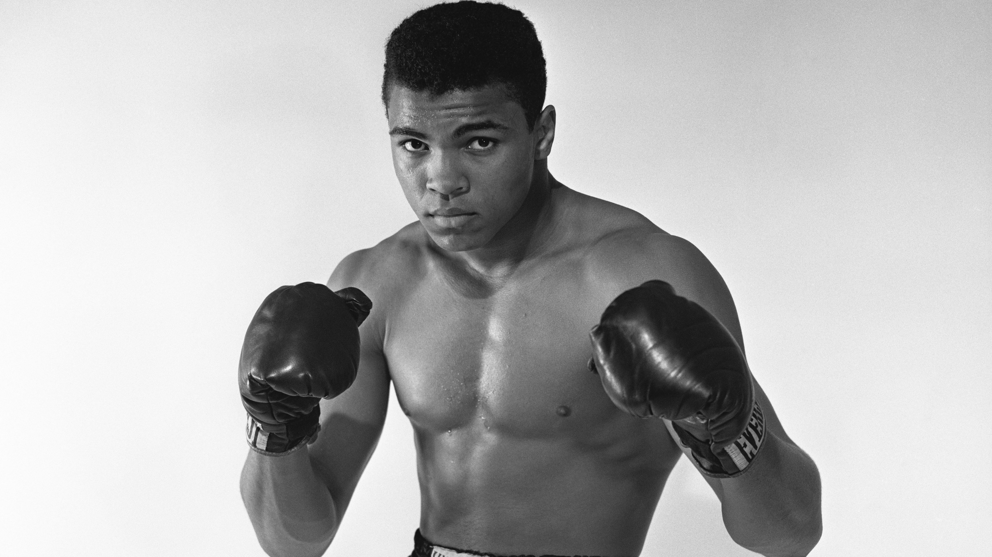 Muhammad Ali, Guantoni da boxe, Ritratto, Bianco e nero, 2K, sfondo per PC