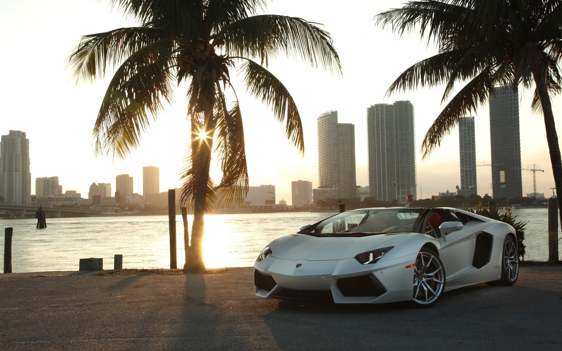 Lamborghini Aventador, Miami, Palme, Controluce, 16:10 Full HD, sfondo widescreen