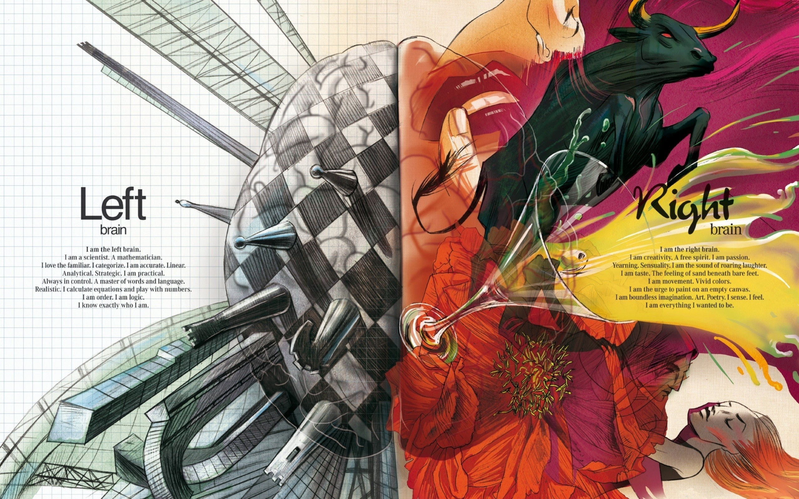 Cervello, Emisfero sinistro e destro, Left brain Right brain, Illustrazione, sfondo 2K