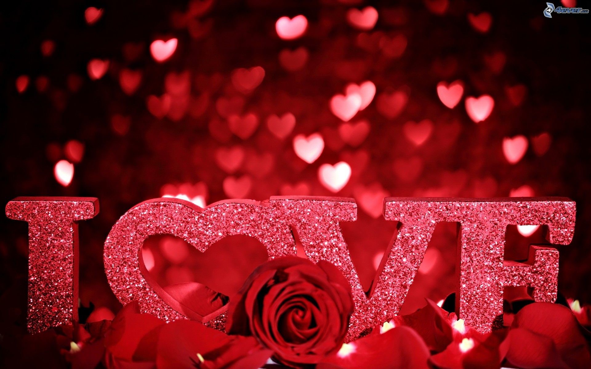 Scritta Love, Glitter, Rosa rossa, Bokeh, San Valentino, 1920x1200, sfondo per PC