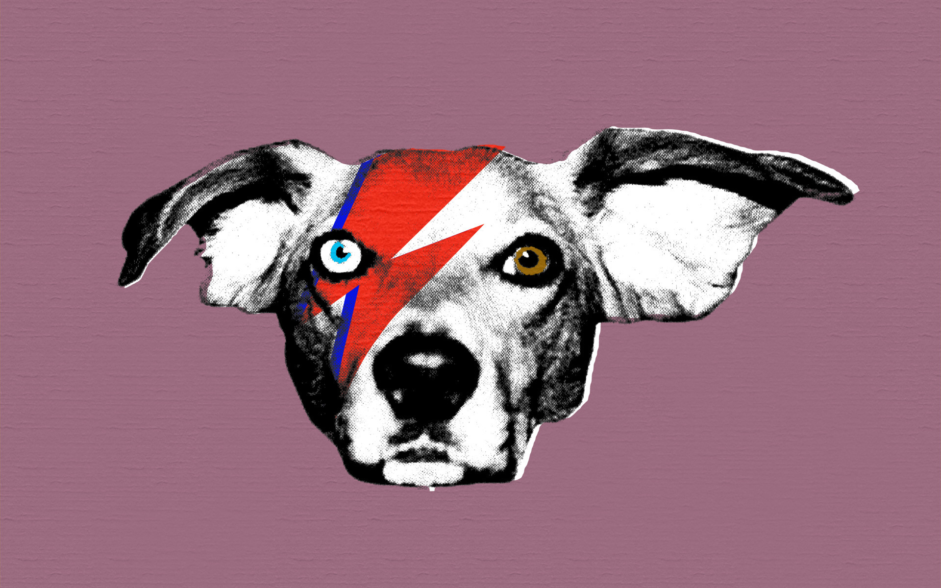 Cane, Saetta, Aladdin Sane, Omaggio, Illustrazione, Full HD, sfondo Windows 11