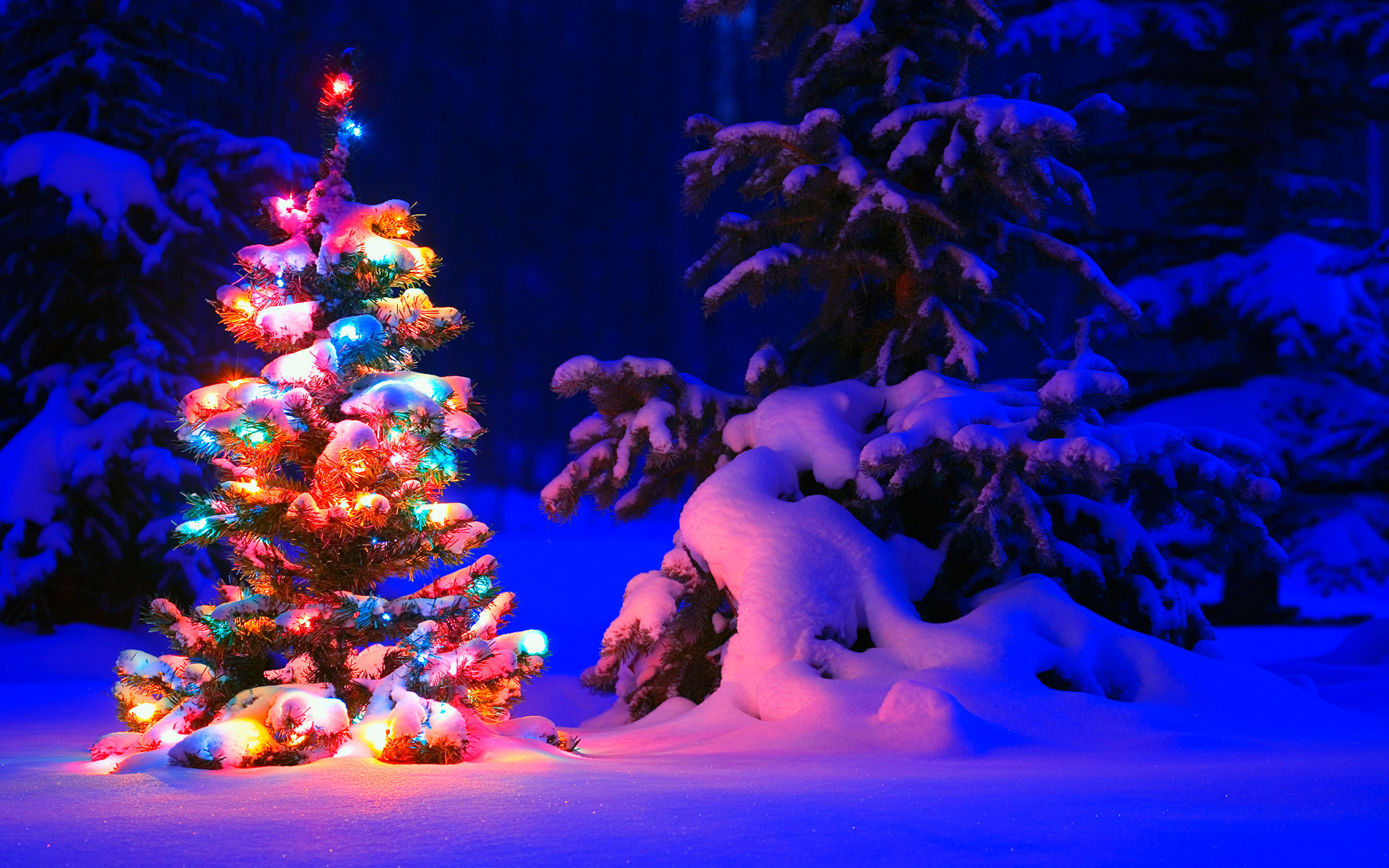 Natale, Albero di Natale, Neve, Bosco, Luci colorate, Full HD, wallpaper desktop