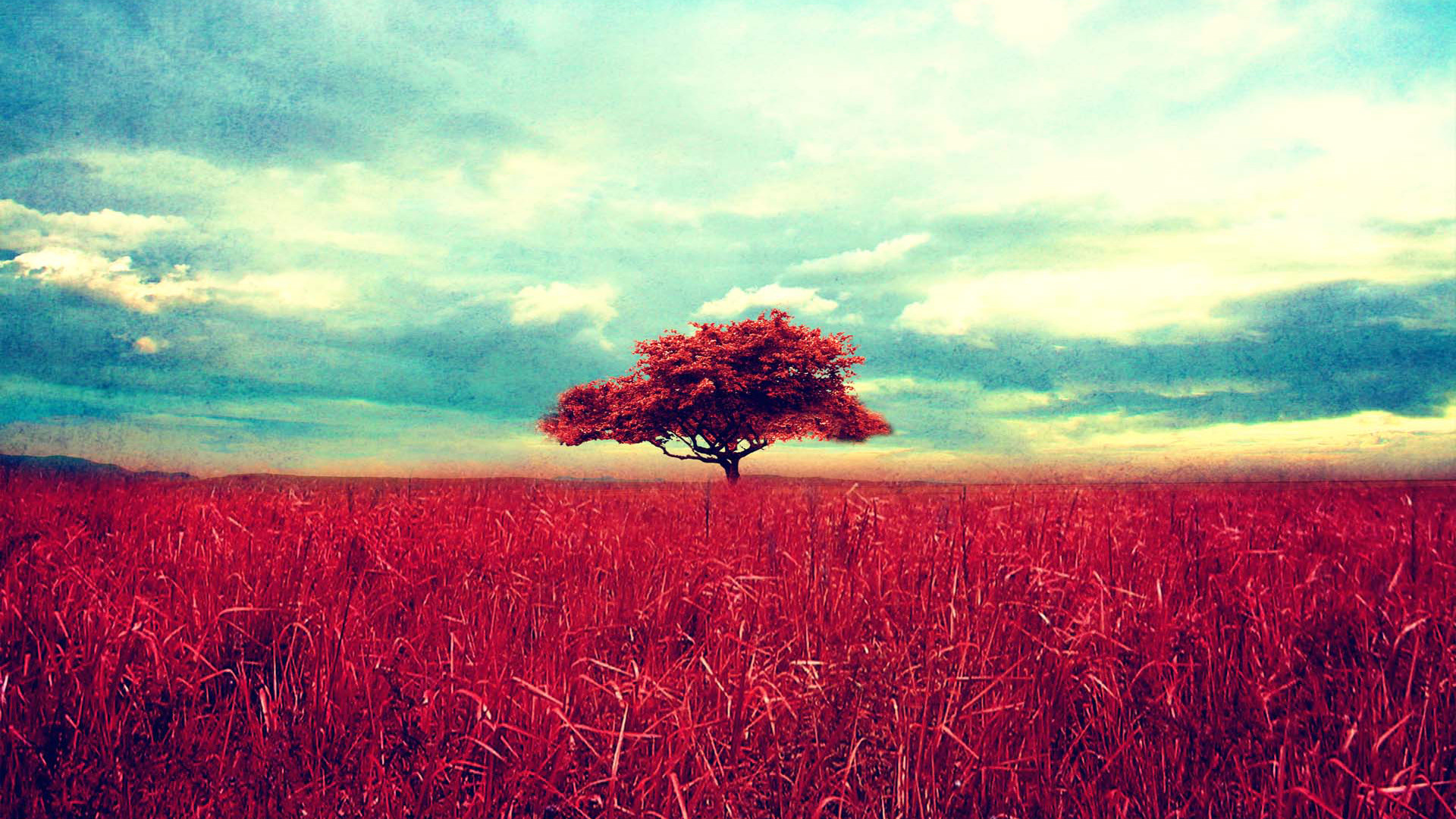 Albero rosso, Prato, Surreale, Vintage, Full HD, sfondo per PC e portatile