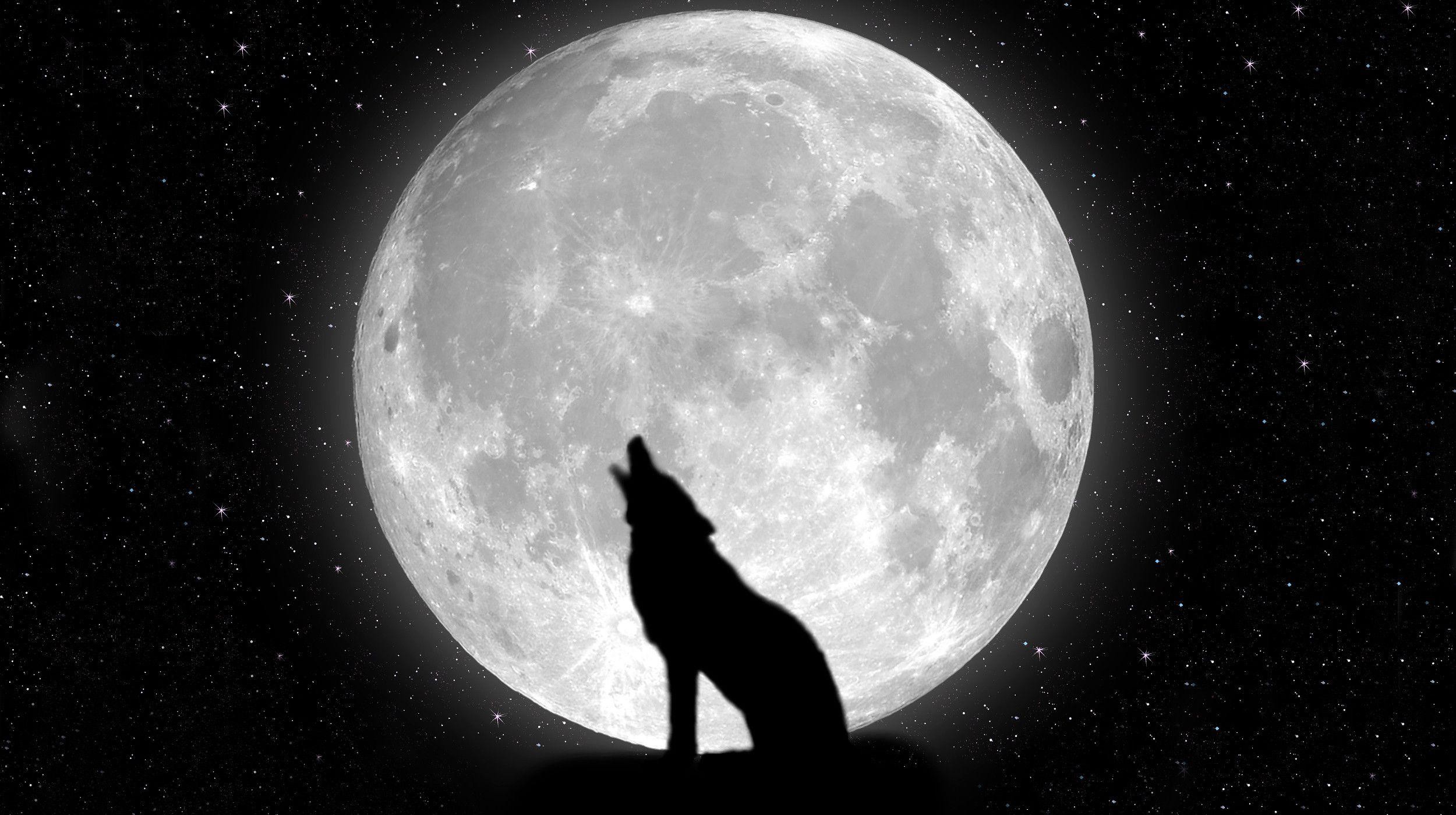 Lupo che ulula, Luna piena, Silhouette, Sfondo nero, Full HD, wallpaper desktop