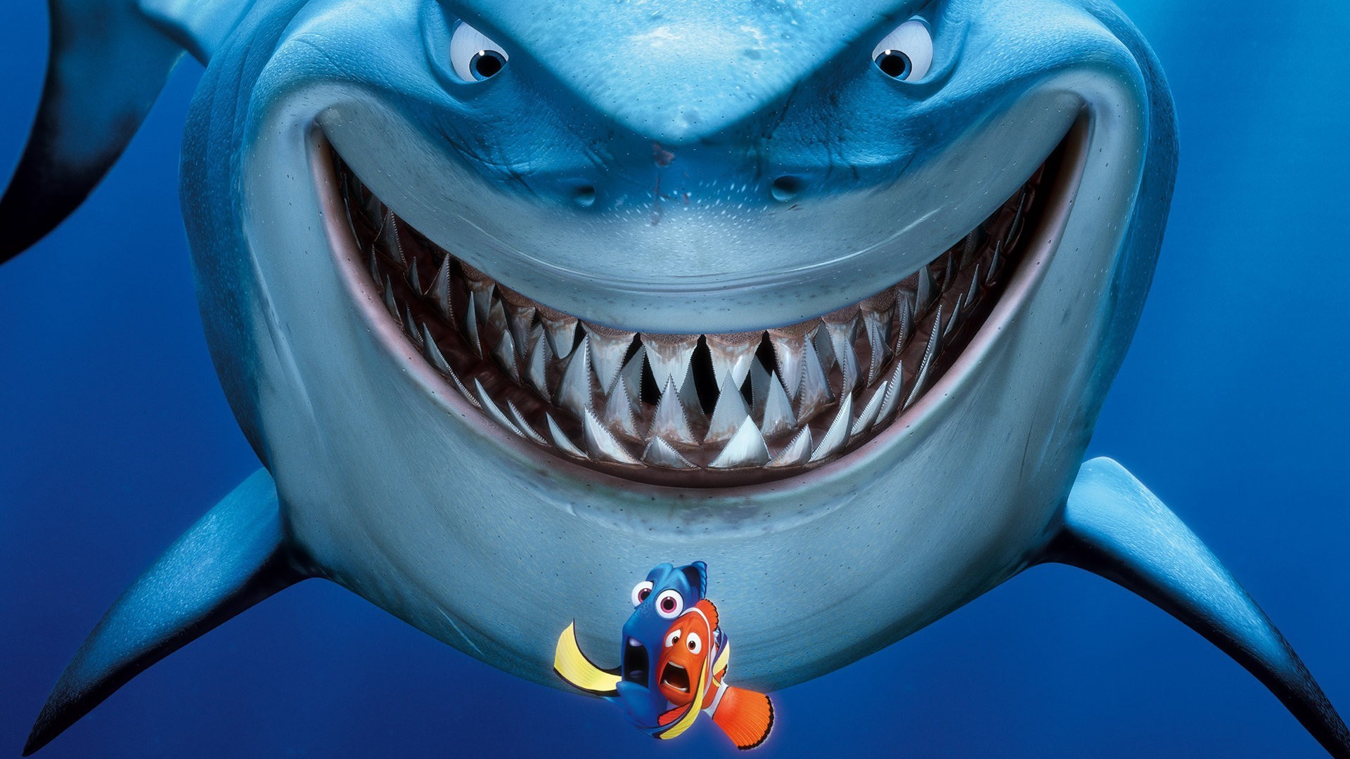 Bruce, Alla ricerca di Nemo, Nemo, Dory, Pixar, Full HD, sfondo per PC