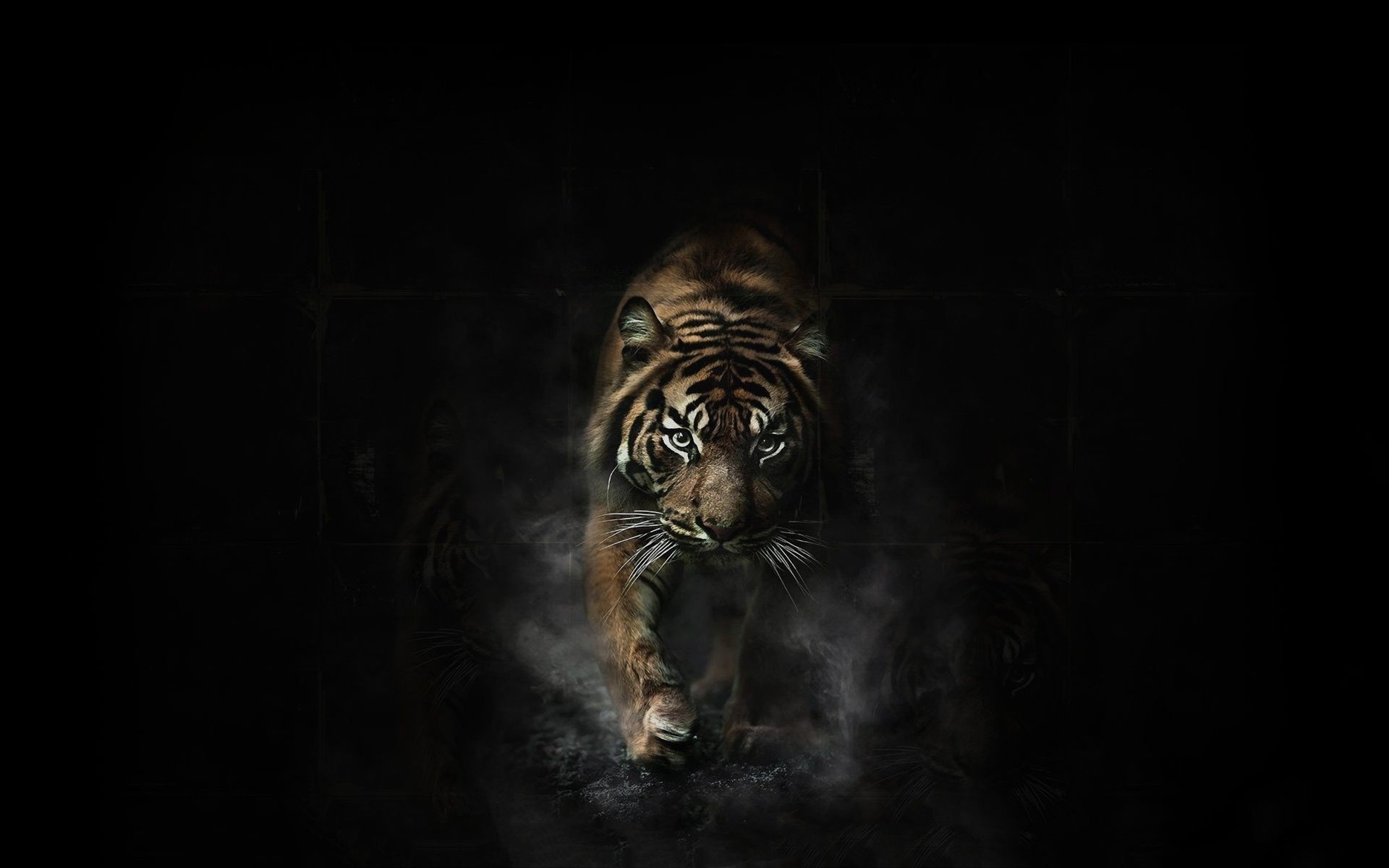 Tigre, Oscurità, Fumo, Sfondo nero, 1920x1200, wallpaper desktop