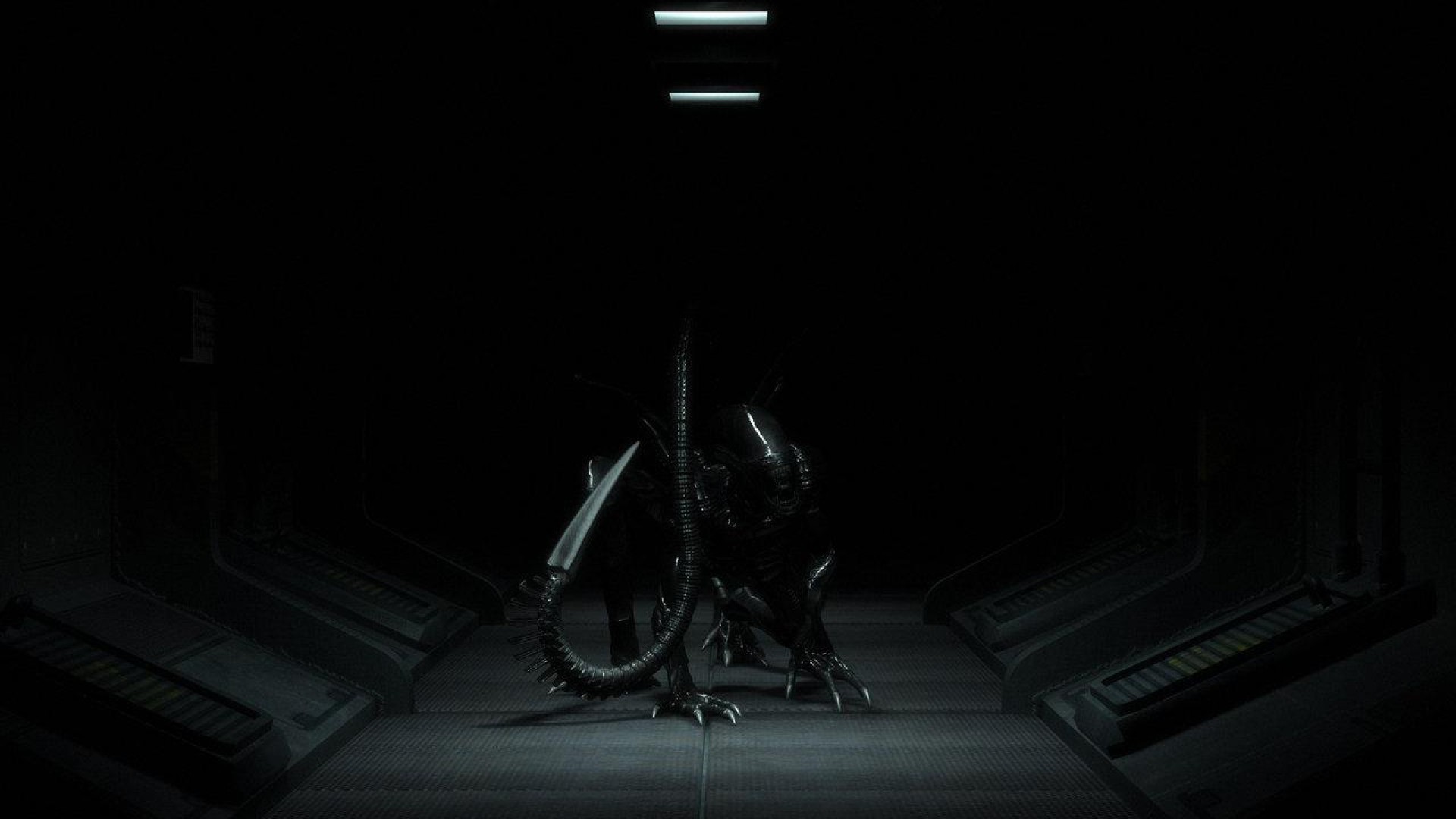 Xenomorfo, Alien, Corridoio, Astronave, Buio, Full HD, sfondo Windows 11