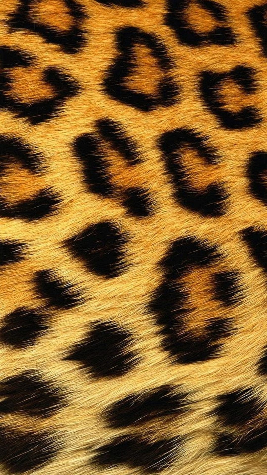 Pelle di leopardo, Maculato, Texture animale, schermata di blocco iPhone
