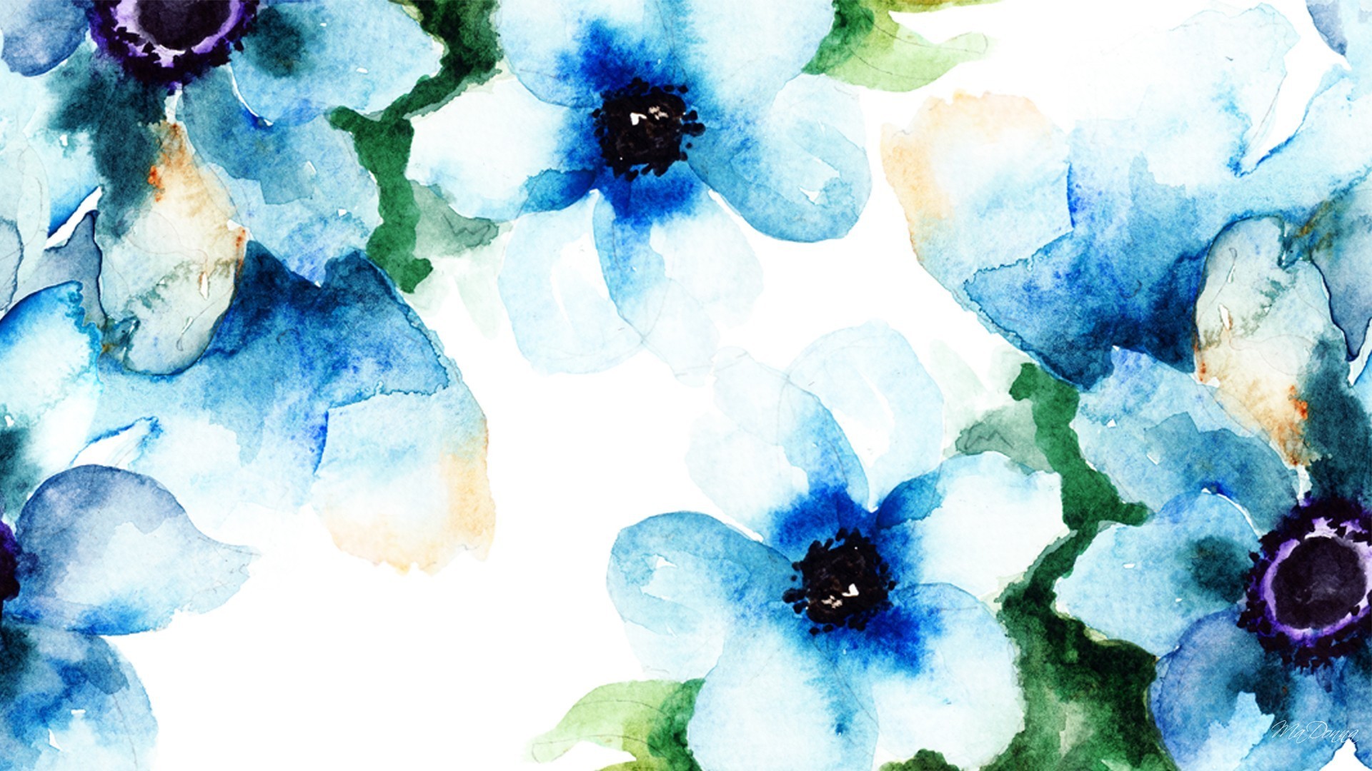 Anemoni, Fiori blu, Acquerello, Motivo floreale, 1920x1080, wallpaper desktop
