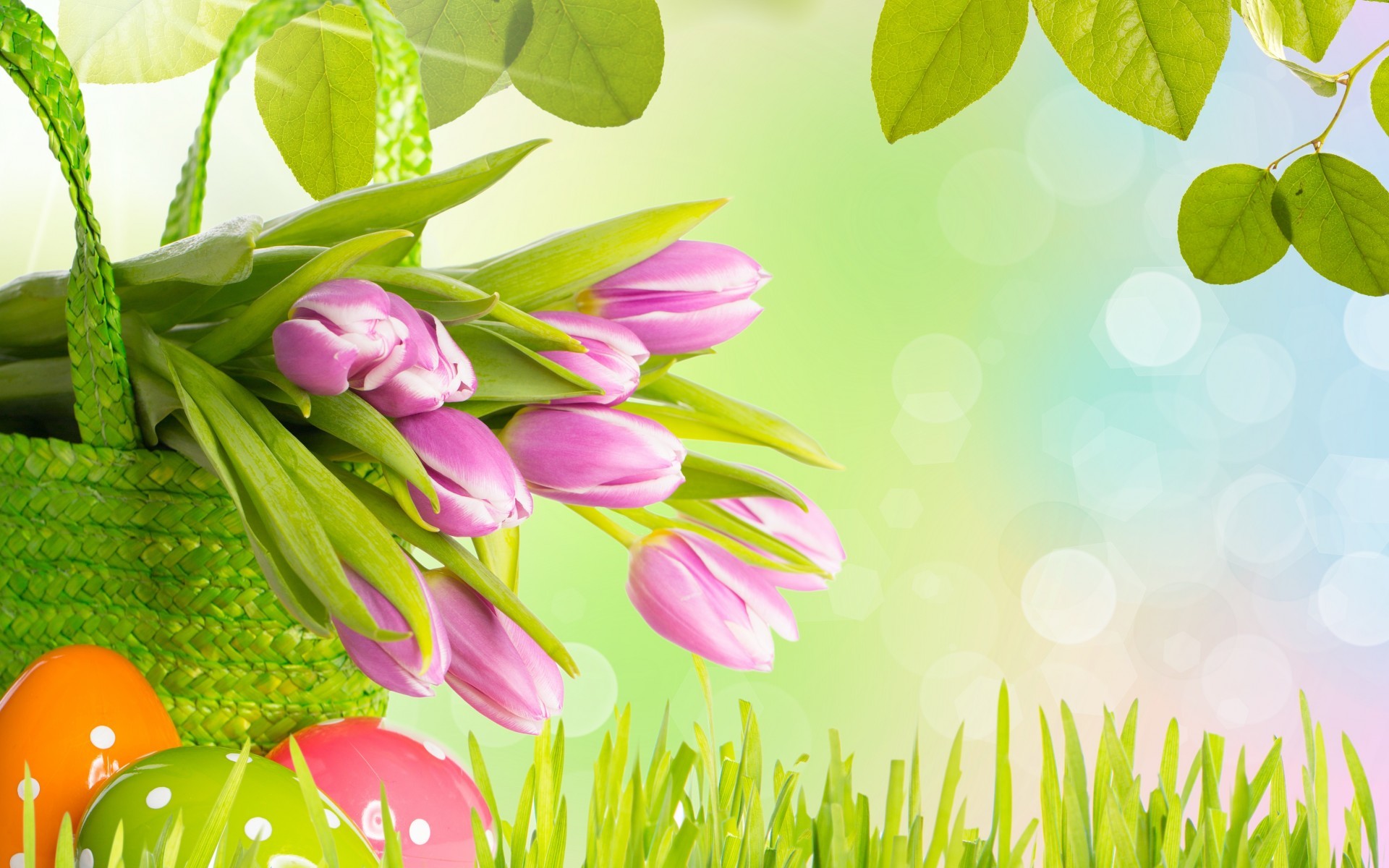 Tulipani rosa, Uova di Pasqua, Cestino, Bokeh, Primavera, 16:10 Full HD, sfondo widescreen