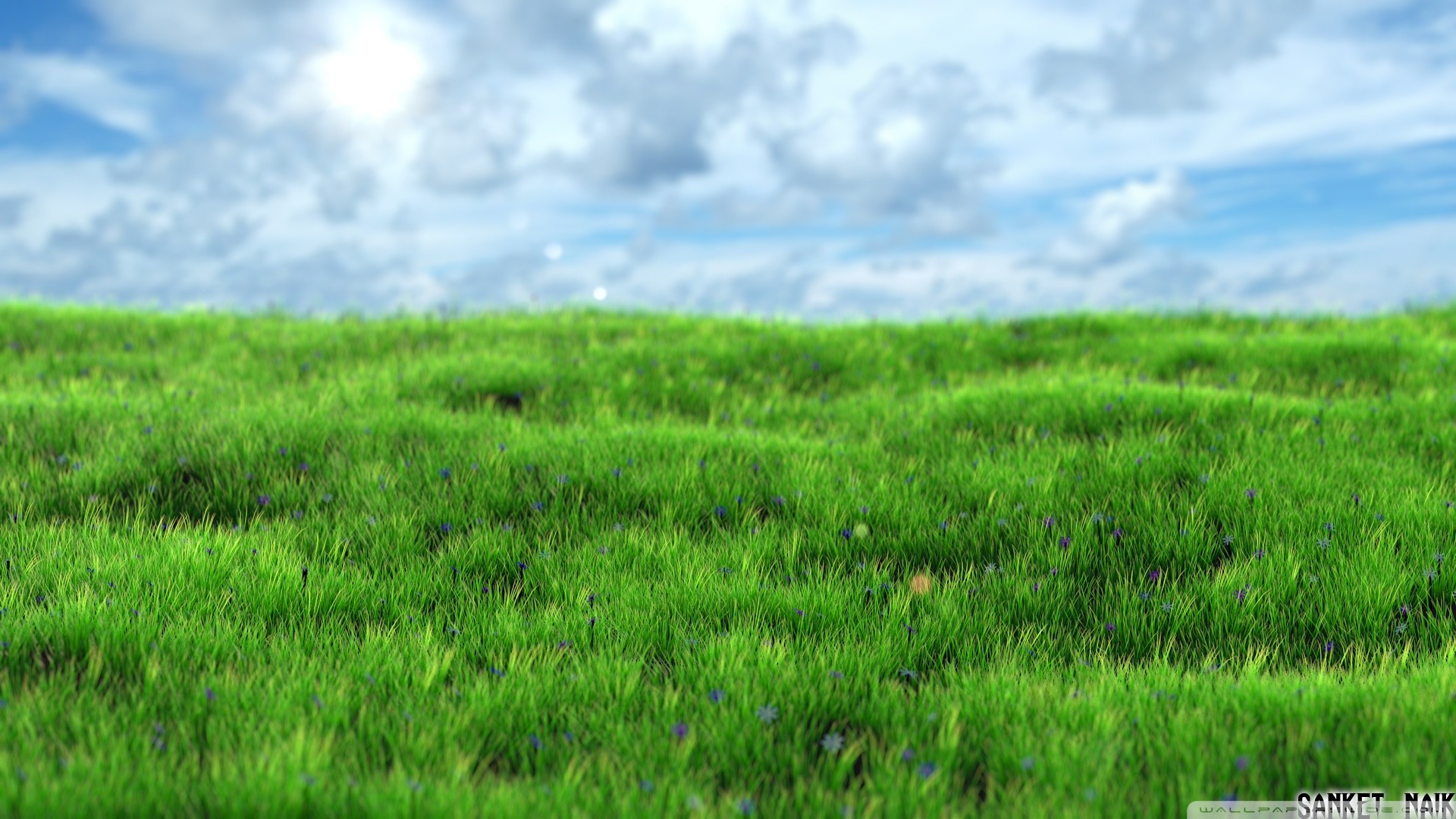 Prato, Nuvole, Collina, Verde, 1920x1080, sfondo per PC