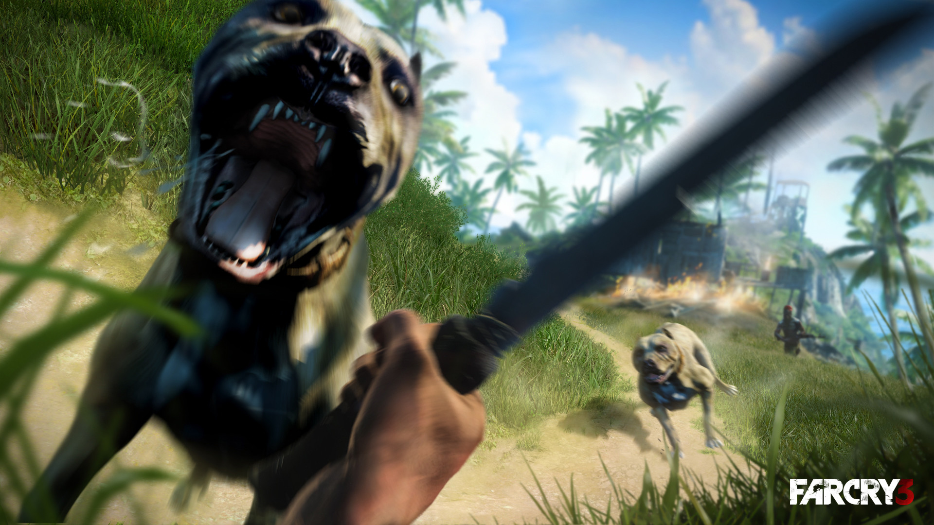 Far Cry 3, Cane, Machete, Prima persona, 1920x1080, sfondo per PC