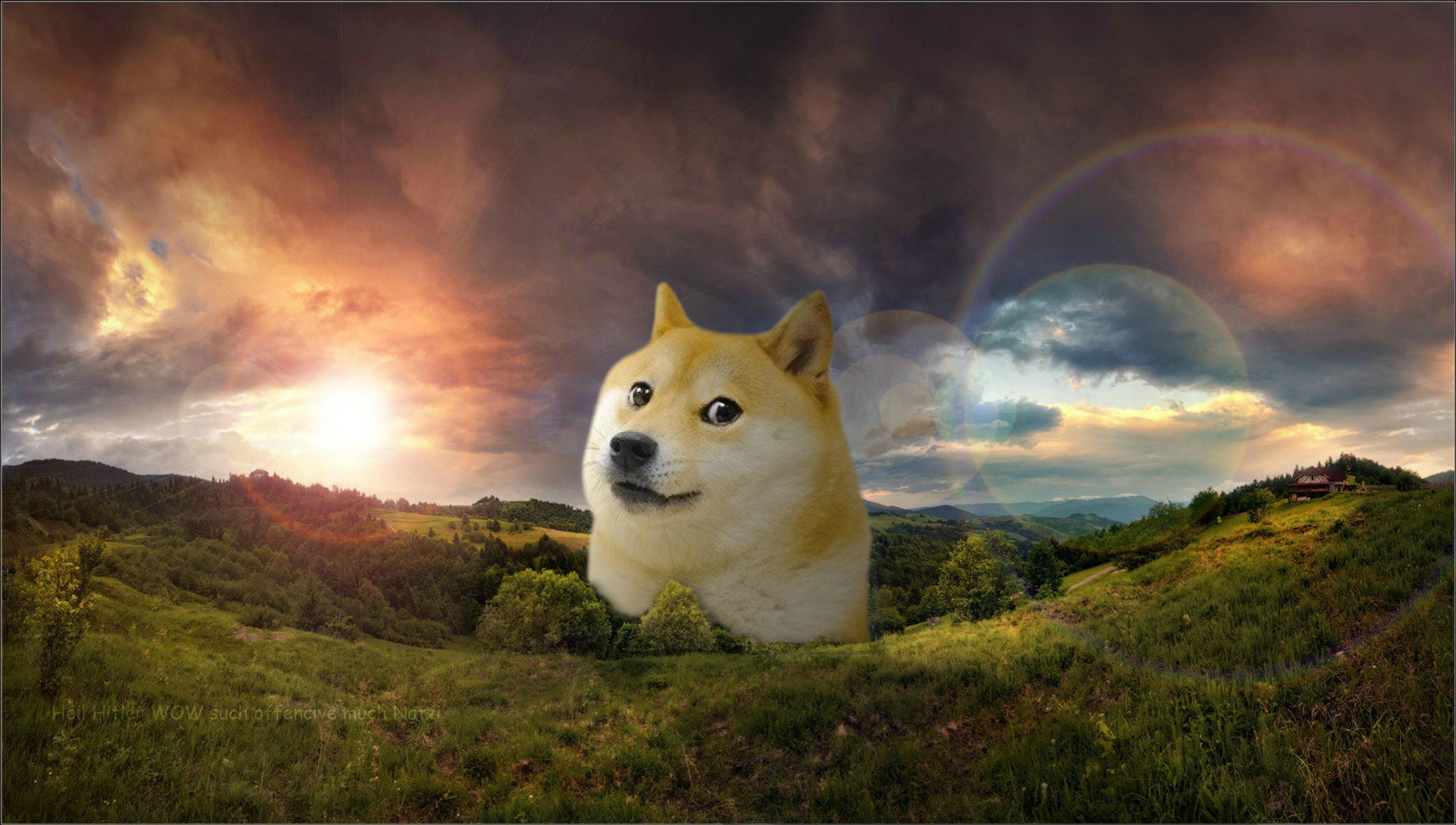 Doge, Shiba Inu, Paesaggio collinare, Tramonto, 2K, wallpaper per portatile