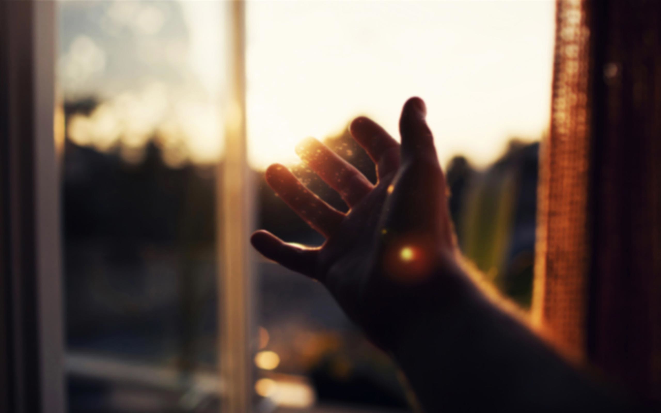 Mano, Finestra, Luce del sole, Sfocato, 16:10 2K, sfondo widescreen