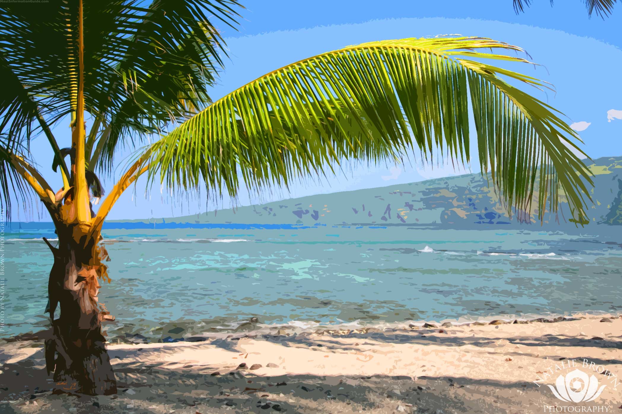 Hawaii, Palma, Spiaggia, Pittura, Full HD, sfondo per PC e portatile