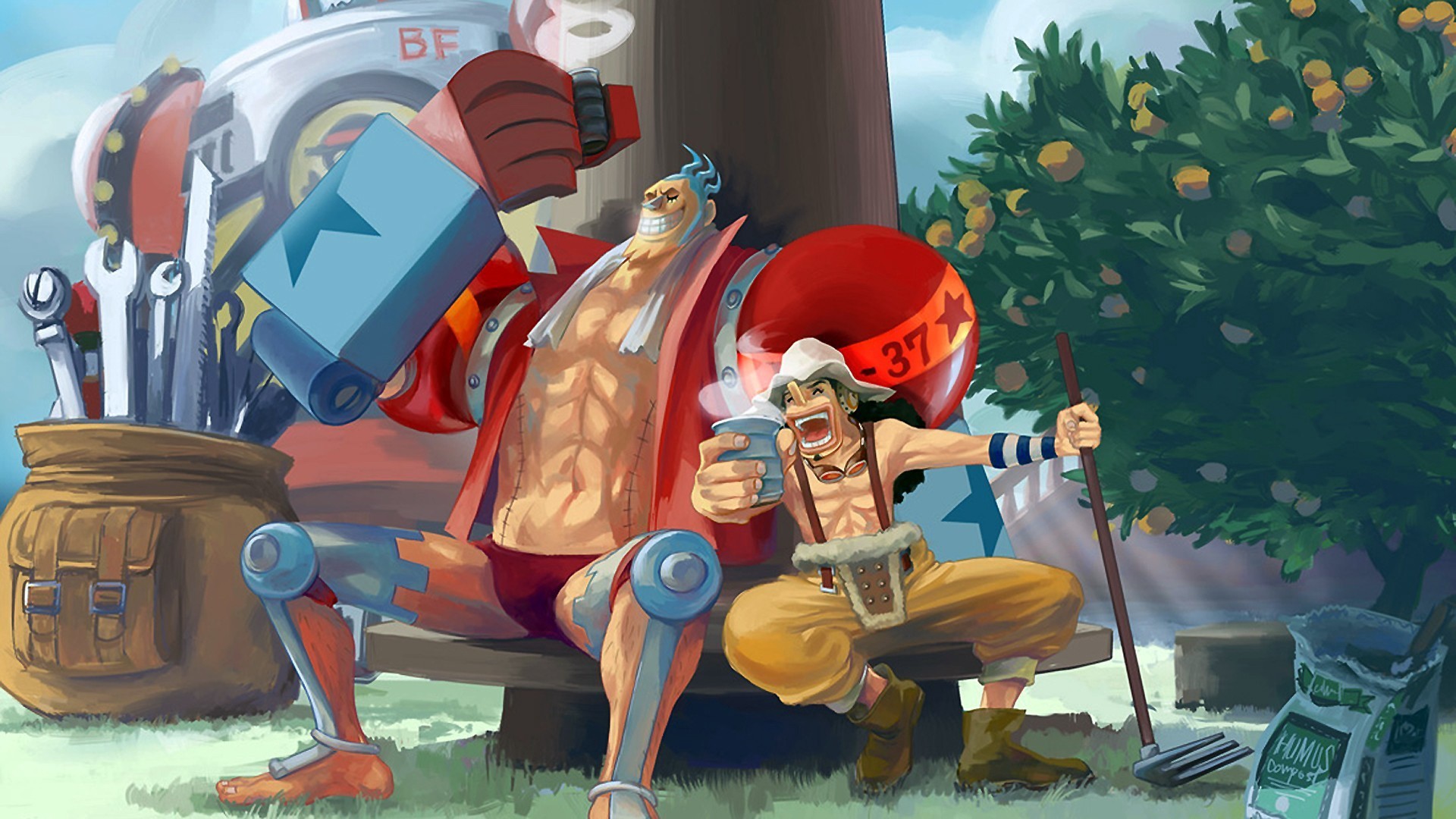 Franky, Usopp, One Piece, Albero di mandarini, Anime, 16:9 Full HD, sfondo widescreen