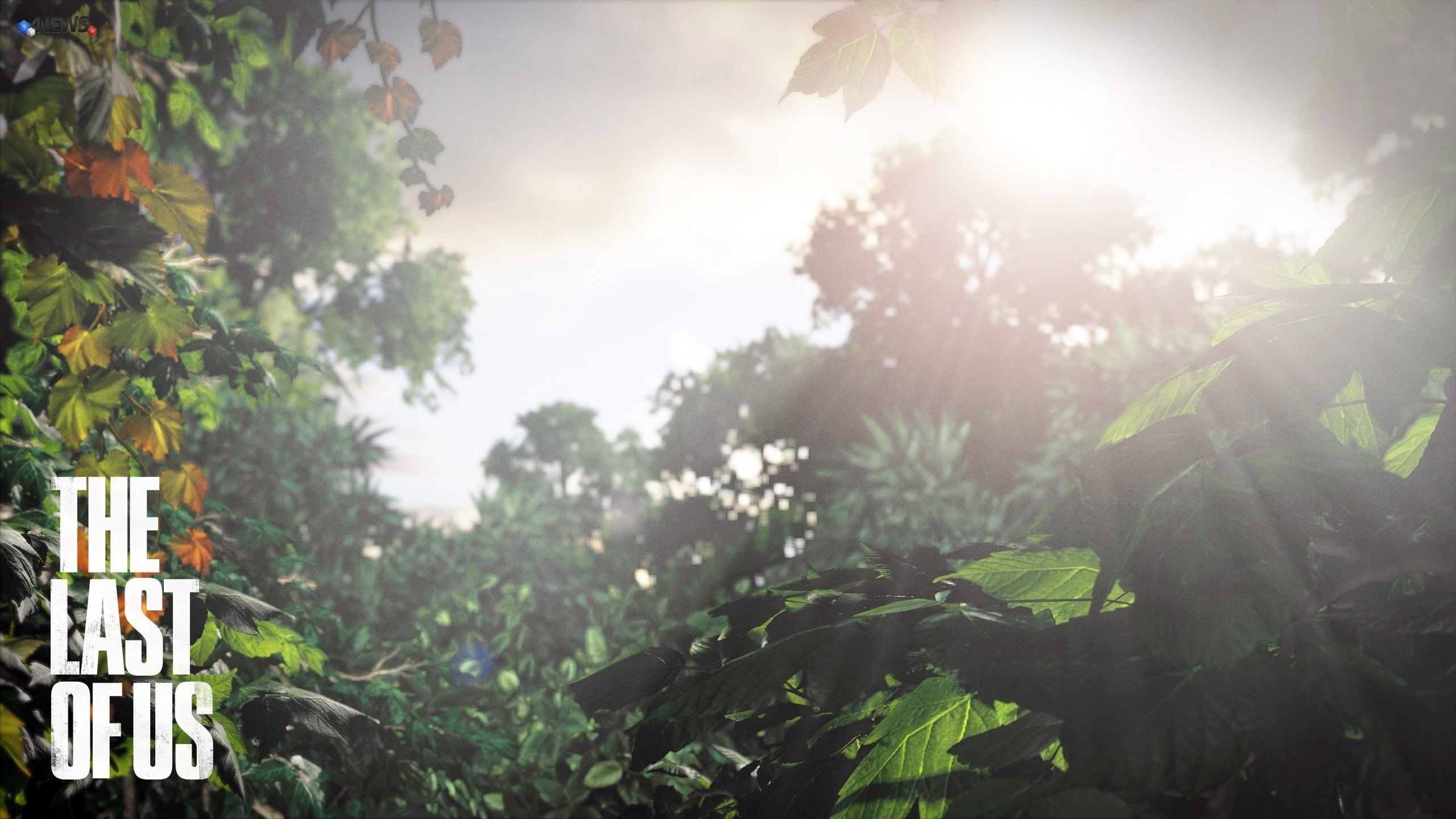 The Last of Us, Logo, Vegetazione, Luce del sole, 16:9 2K, wallpaper widescreen