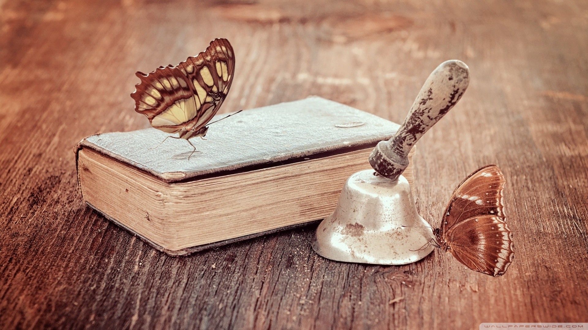 Libro antico, Farfalle, Campanella, Tavolo di legno, 16:9 Full HD, sfondo widescreen
