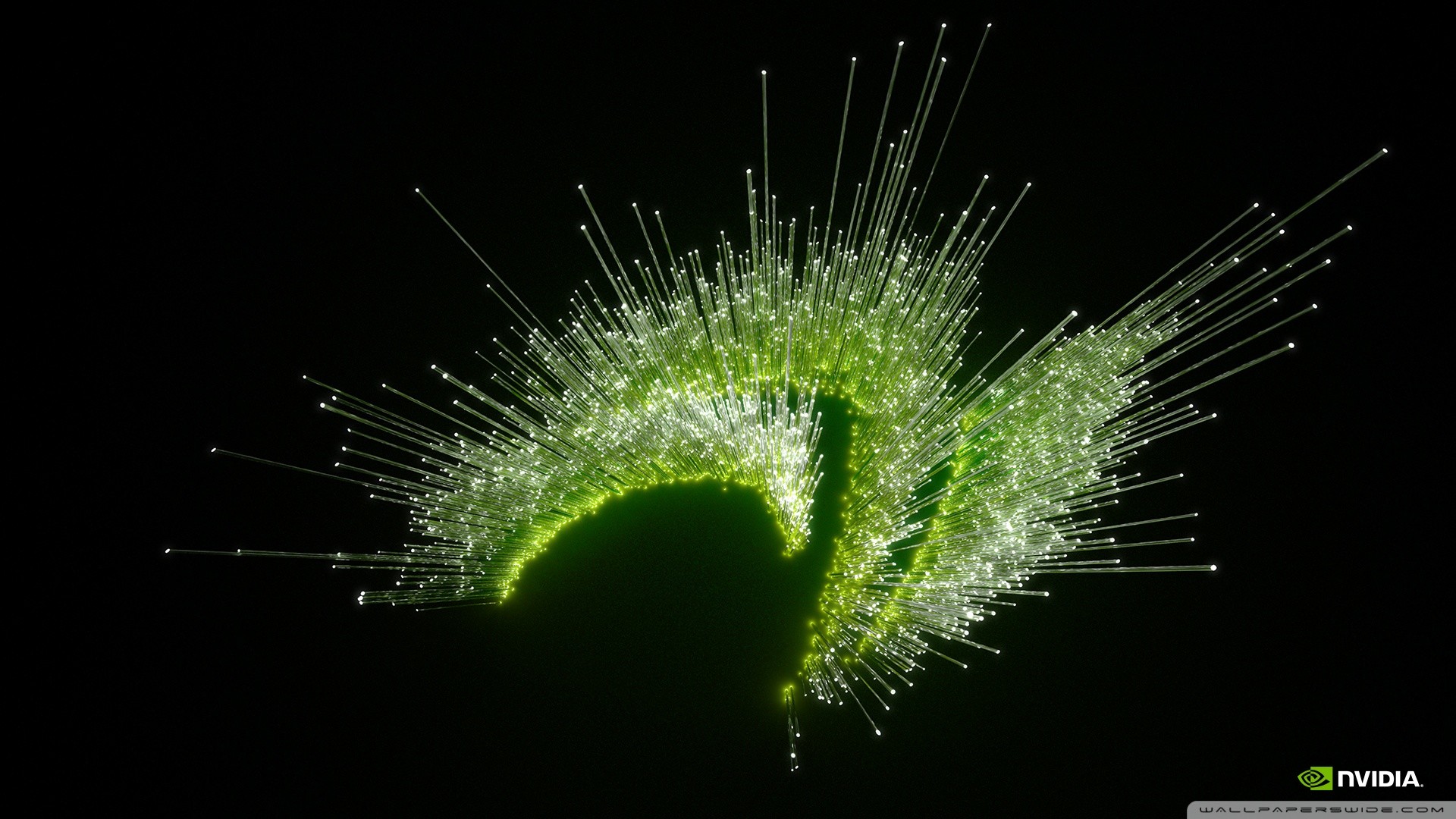 Nvidia, Logo, Fibre ottiche, Particelle, Full HD, sfondo per PC