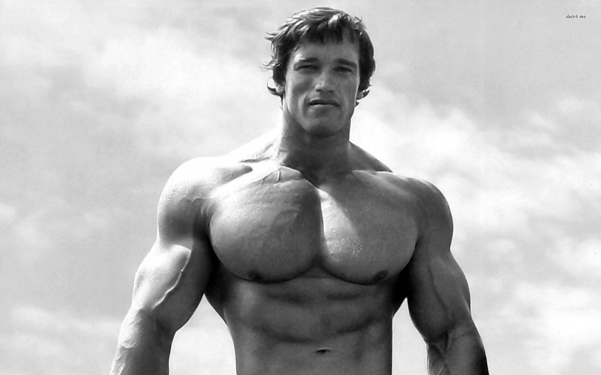 Arnold Schwarzenegger, Pettorali, Cielo, Bianco e nero, Full HD, sfondo per PC