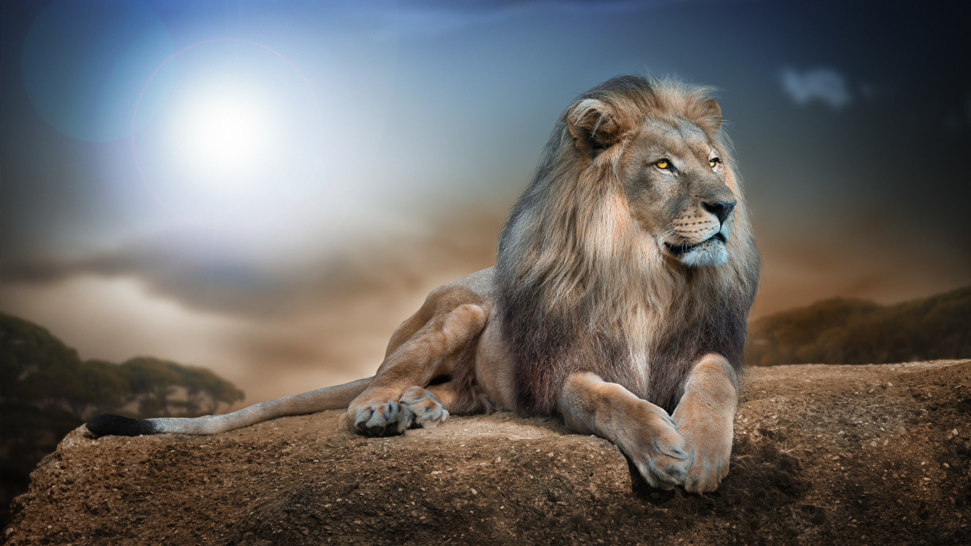 Leone, Roccia, Savana, Cielo, 1920x1080, sfondo per PC