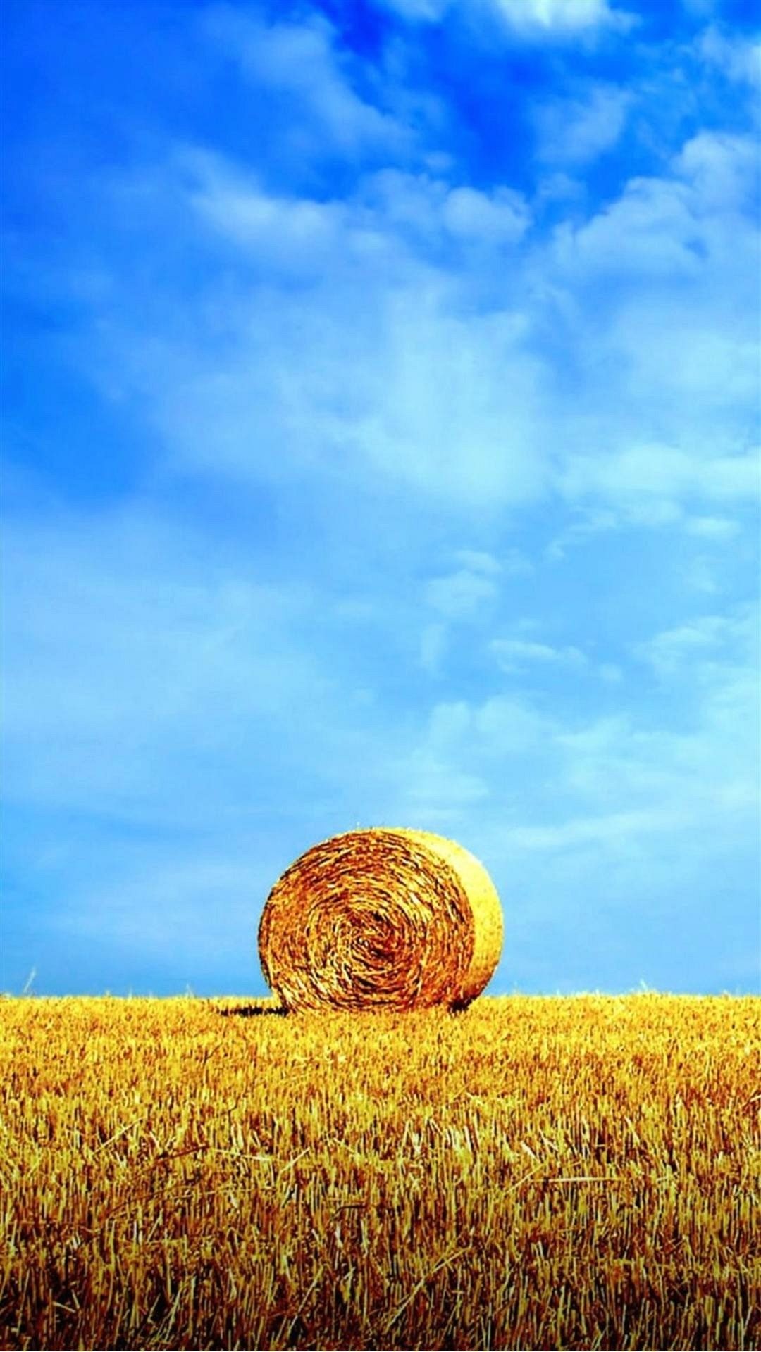 Balla di fieno, Campo di grano, Cielo azzurro, Estate, Full HD, sfondo per smartphone
