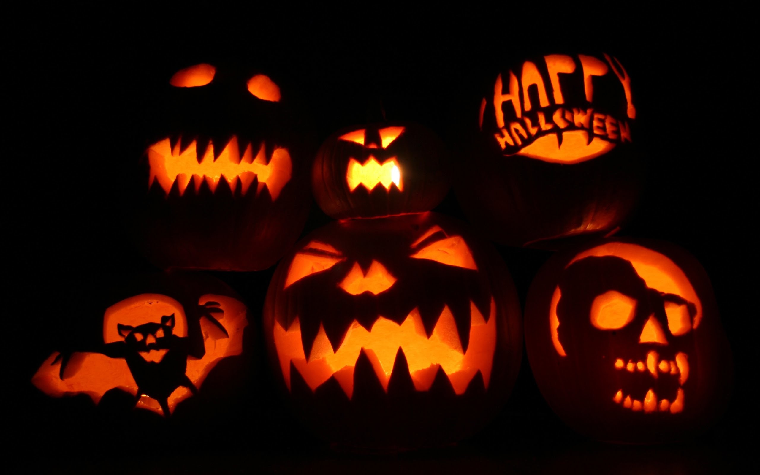 Jack-o'-lantern, Happy Halloween, Pipistrello, Teschio, 2K, sfondo per PC e portatile