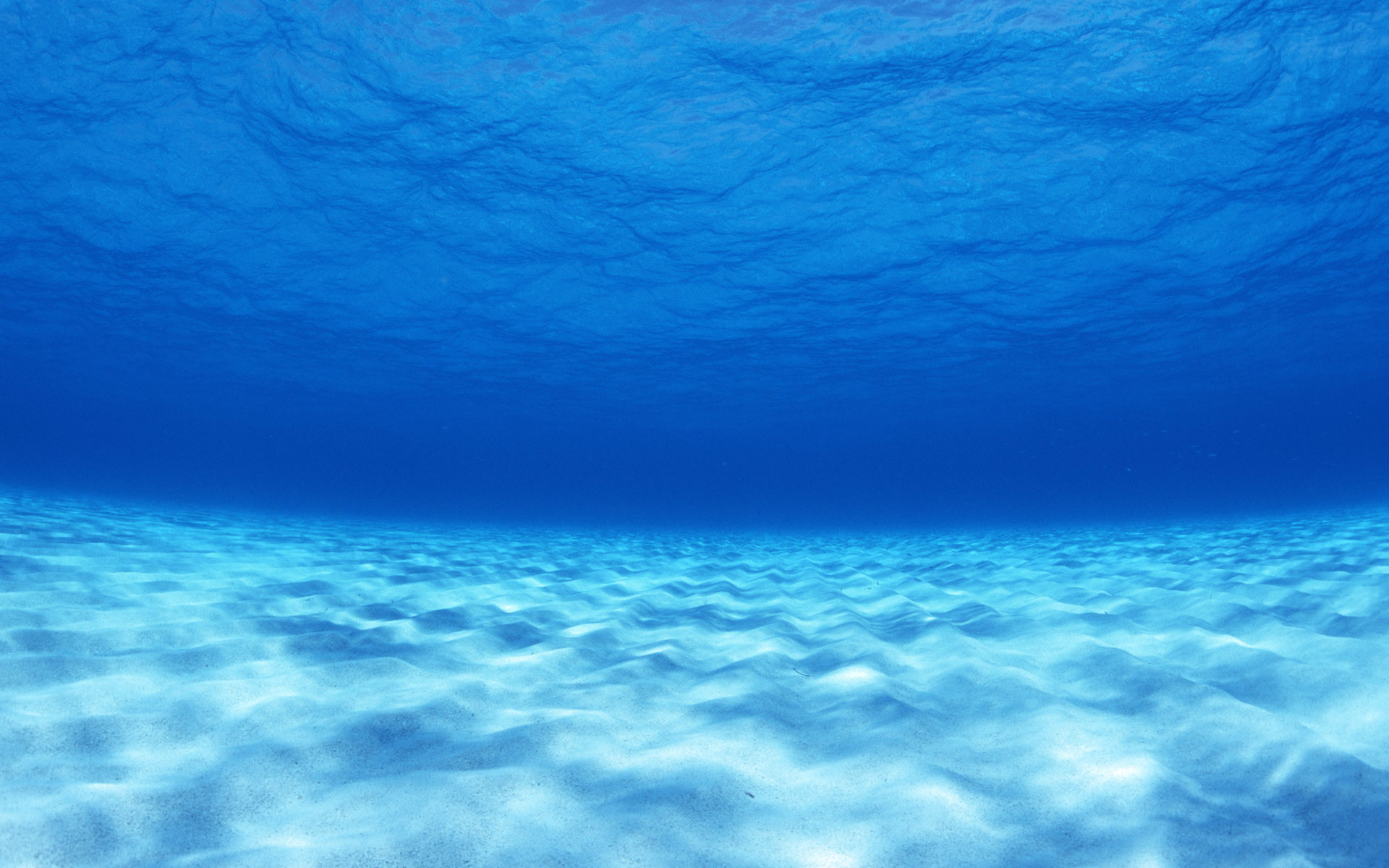 Fondale sabbioso, Acqua blu, Oceano, 16:10 Full HD, sfondo widescreen