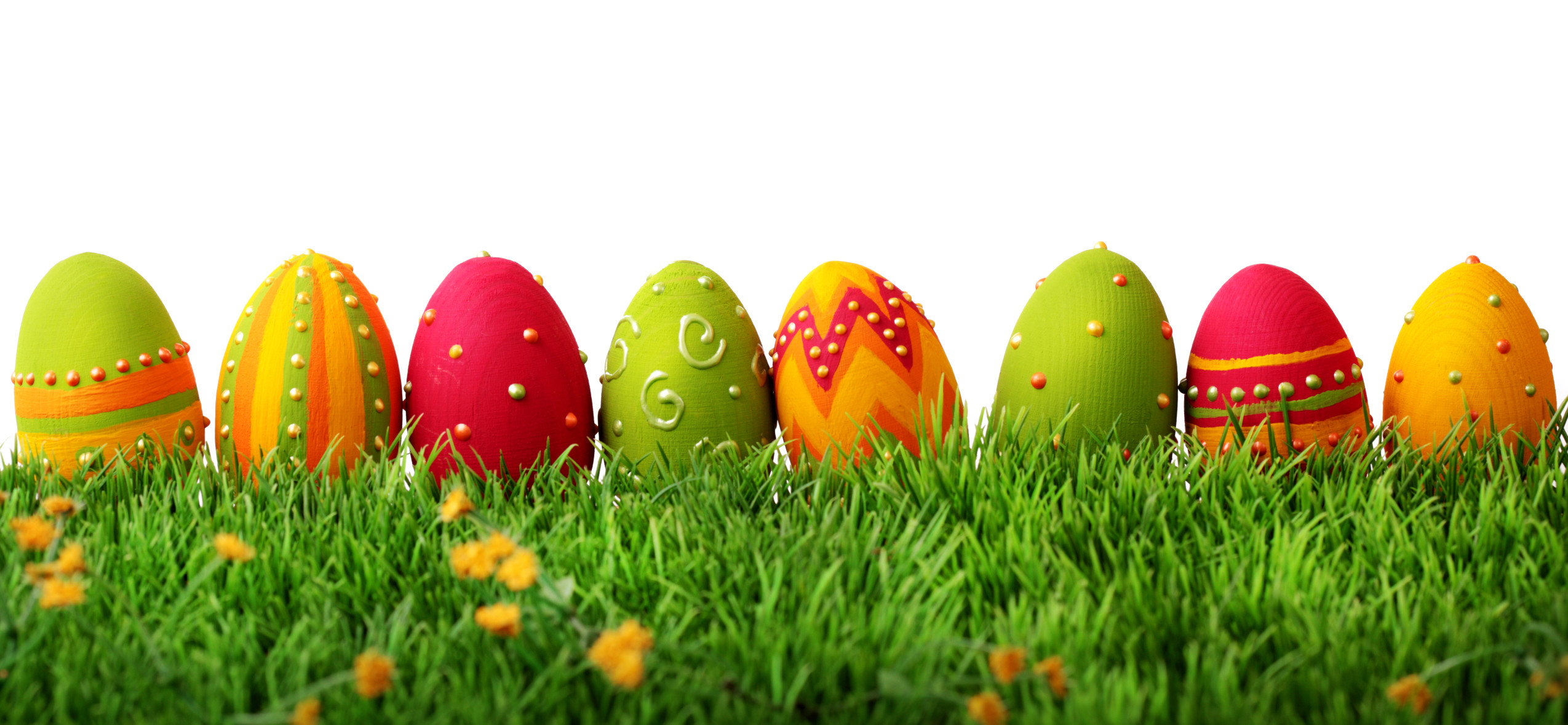 Uova di Pasqua, Uova decorate, Fila di uova, Erba, Sfondo bianco, wallpaper desktop Full HD