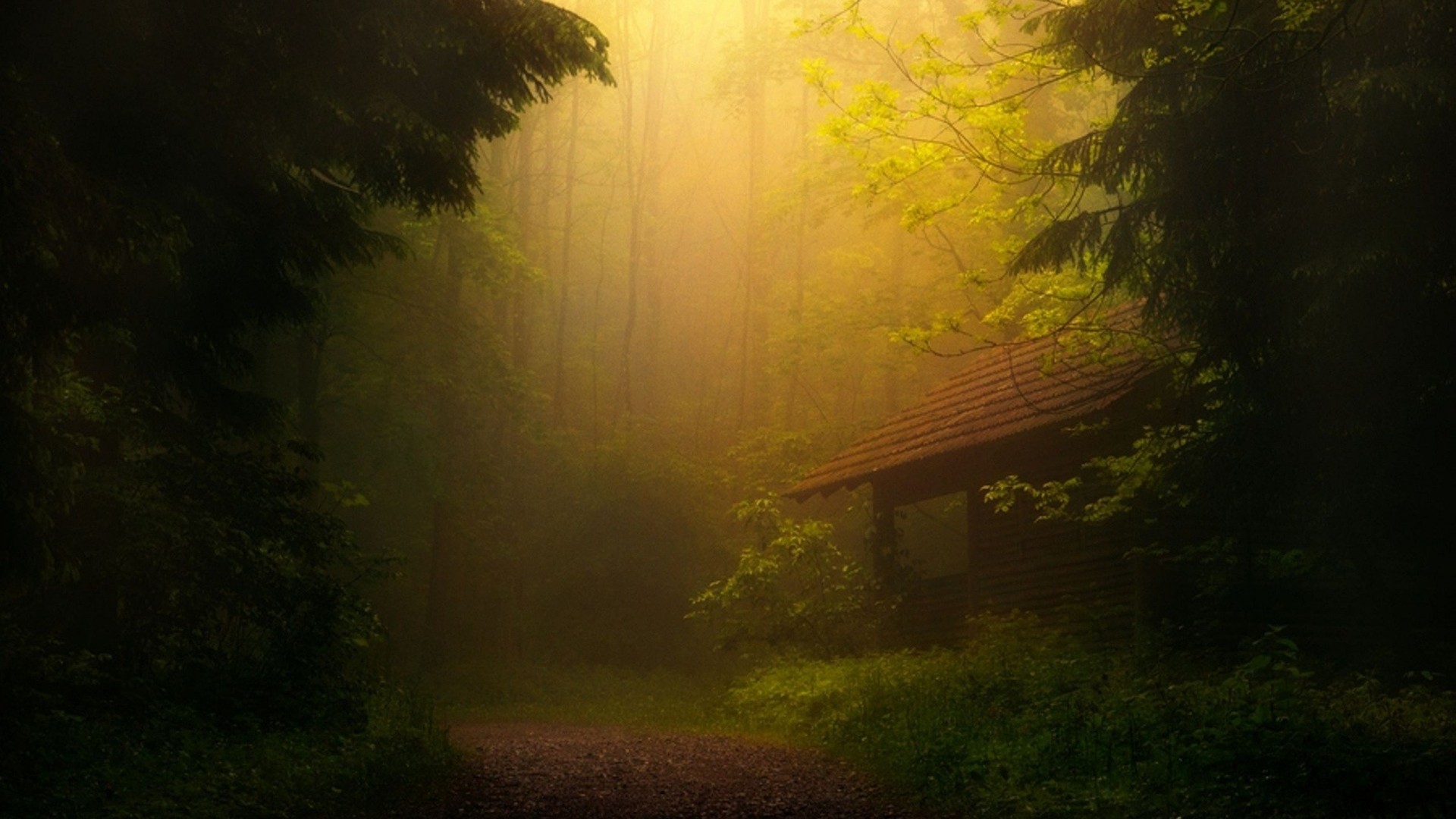 Foresta, Raggi di luce, Nebbia, Capanna, 1920x1080, wallpaper desktop