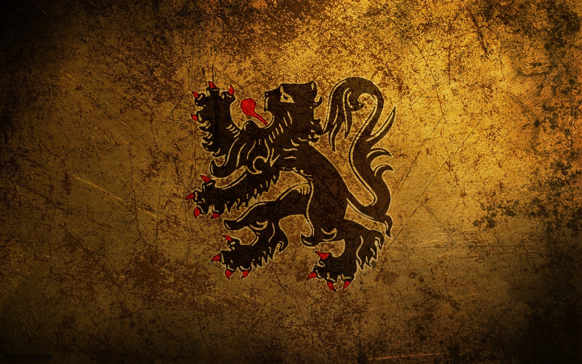 Leone delle Fiandre, Stemma, Araldica, Texture dorata, 16:10 Full HD, sfondo widescreen