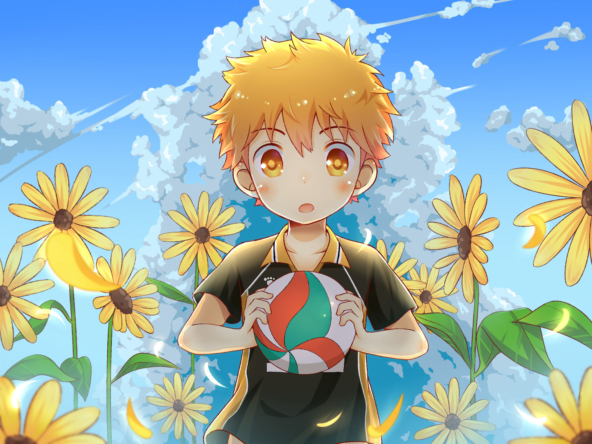 Shoyo Hinata, Haikyu!!, Girasoli, Bambino, Full HD, sfondo per iPad e tablet