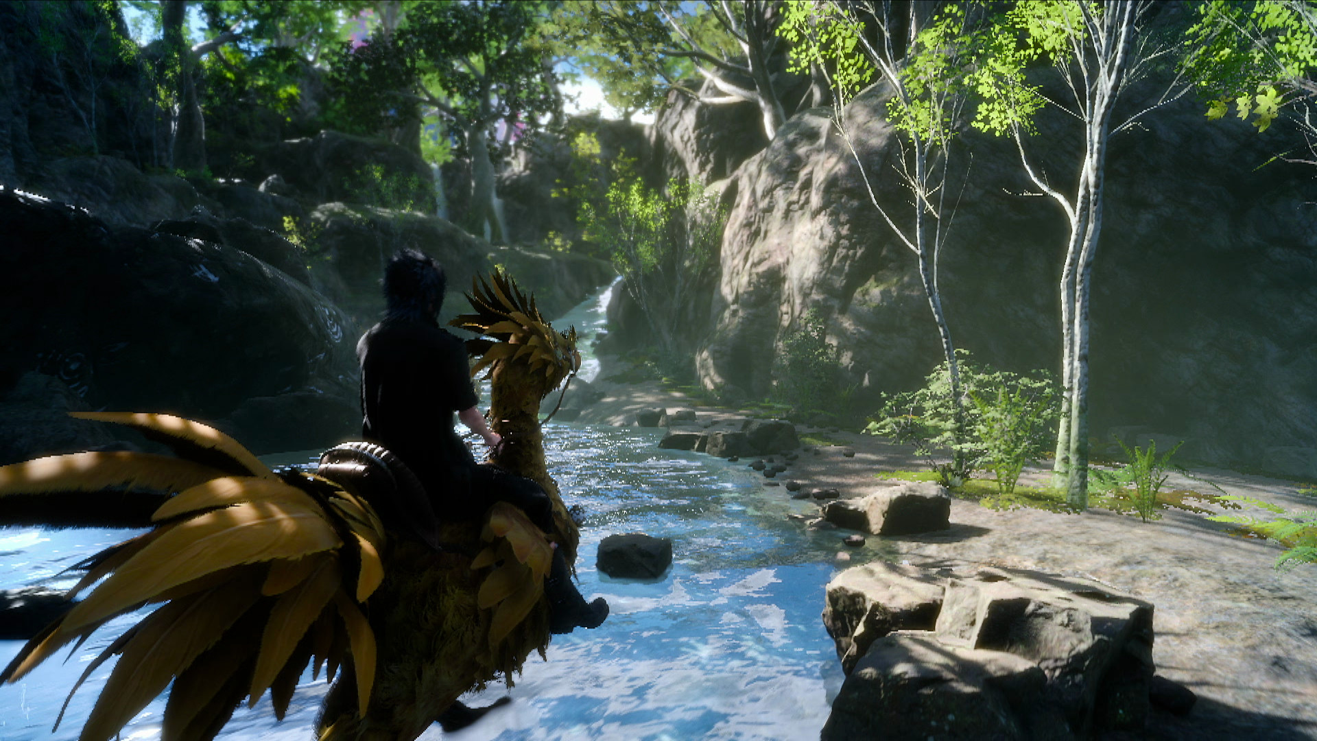 Final Fantasy XV, Chocobo, Noctis, Foresta, Full HD, sfondo per PC