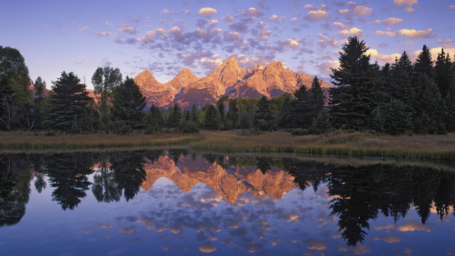 Grand Teton, Schwabacher Landing, Alba, Riflesso, Abeti, Full HD 1080p, sfondo desktop