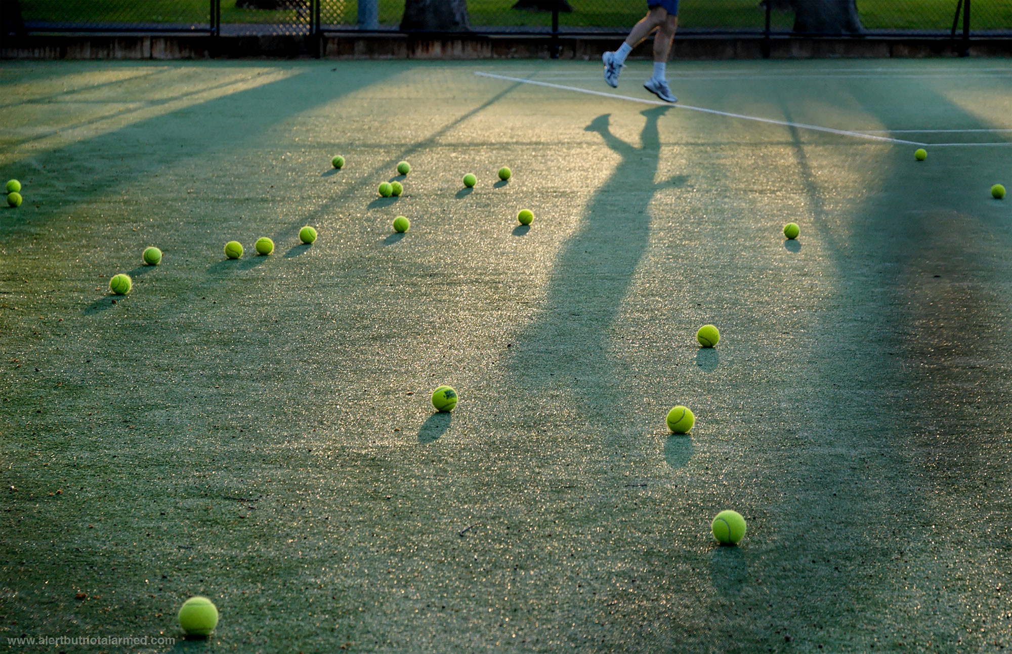 Palline da tennis, Campo in erba, Ombre, Allenamento, Full HD, wallpaper desktop